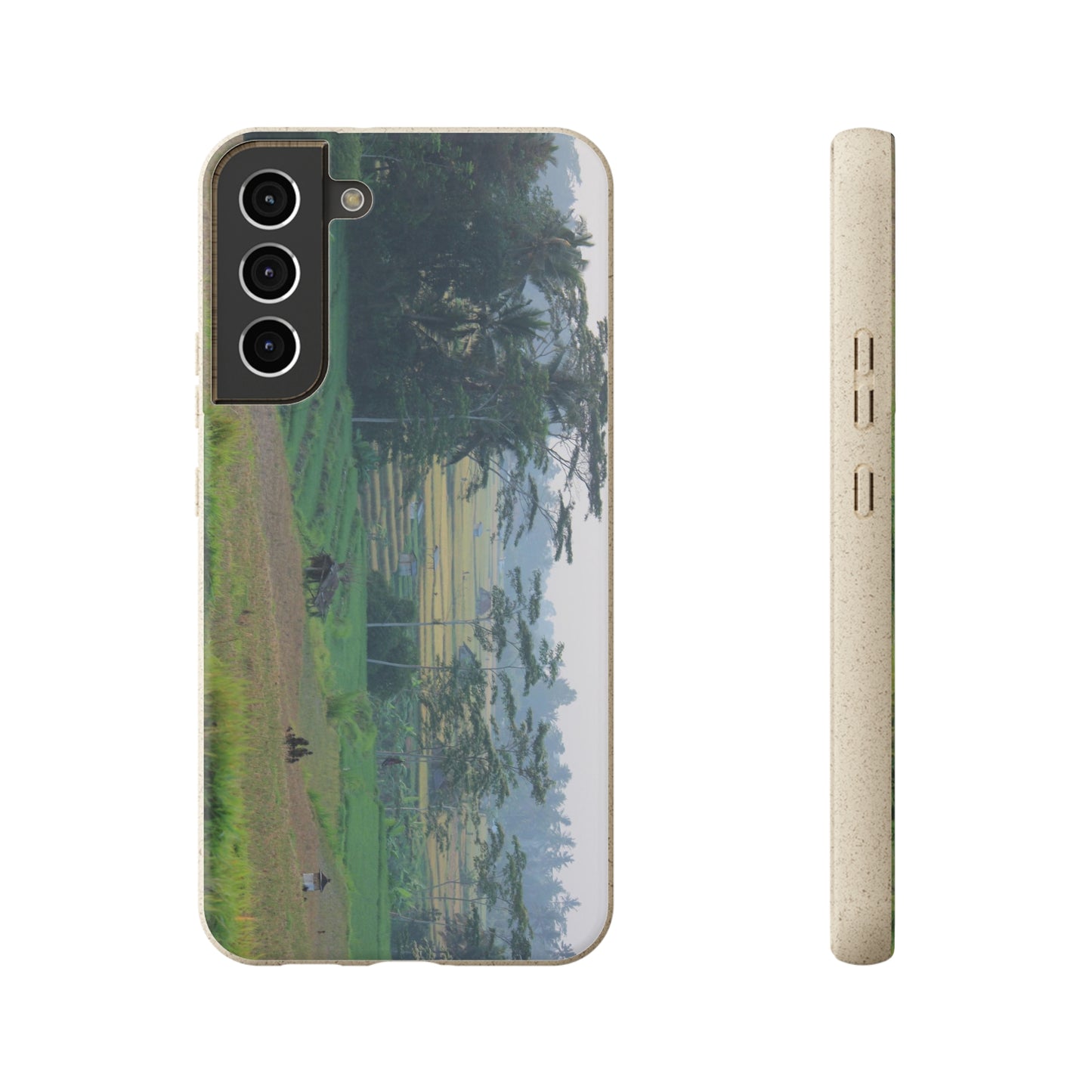 Rice fields - Biodegradable Cases