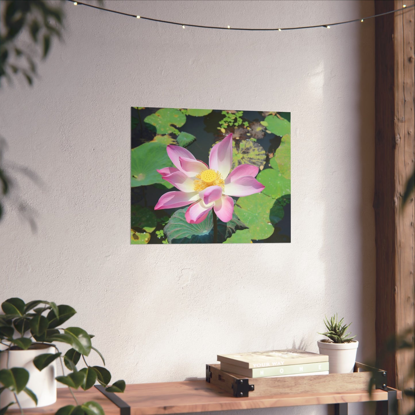 Pink lotus - Fine Art Posters