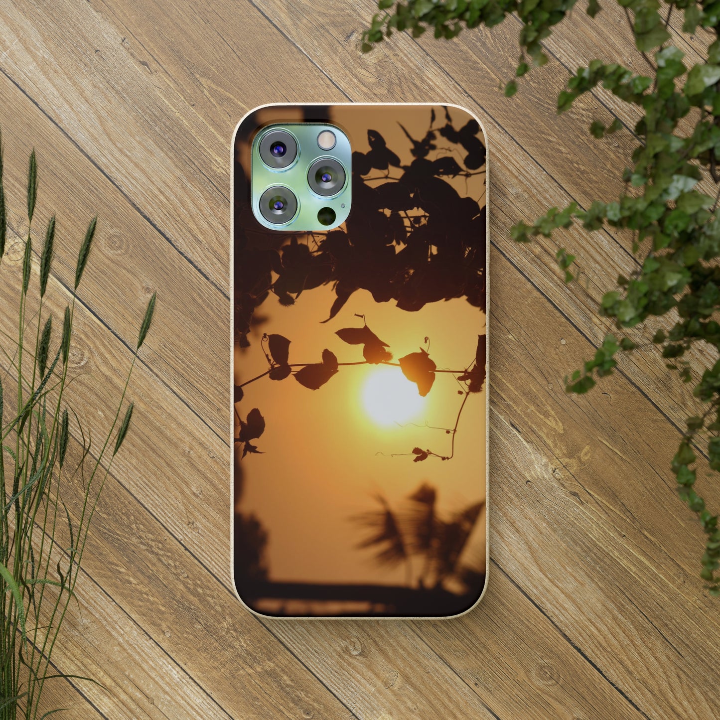 Sunset - Biodegradable Cases