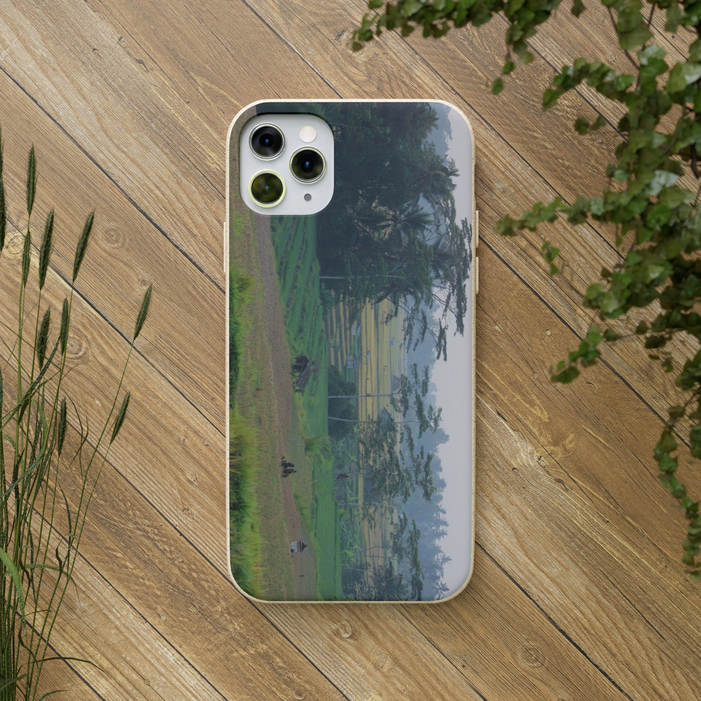 Rice fields - Biodegradable Cases