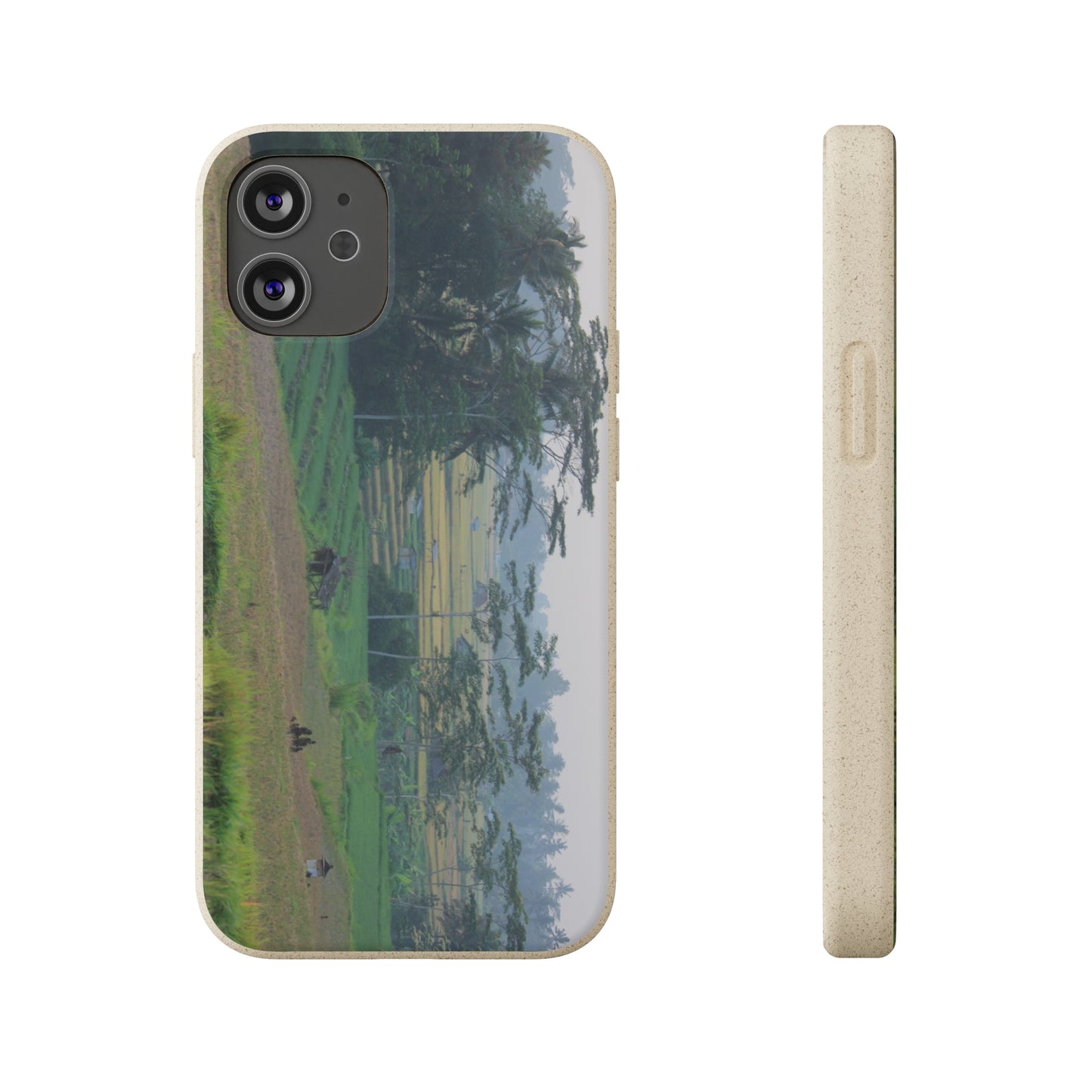 Rice fields - Biodegradable Cases