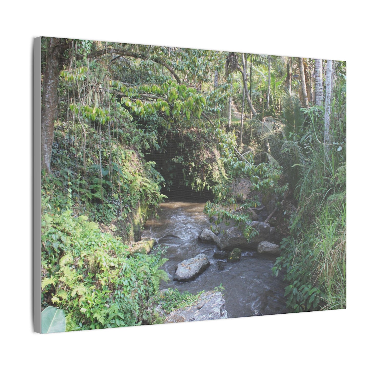 Rainforest Stream - Matte Canvas, Stretched, 0.75"