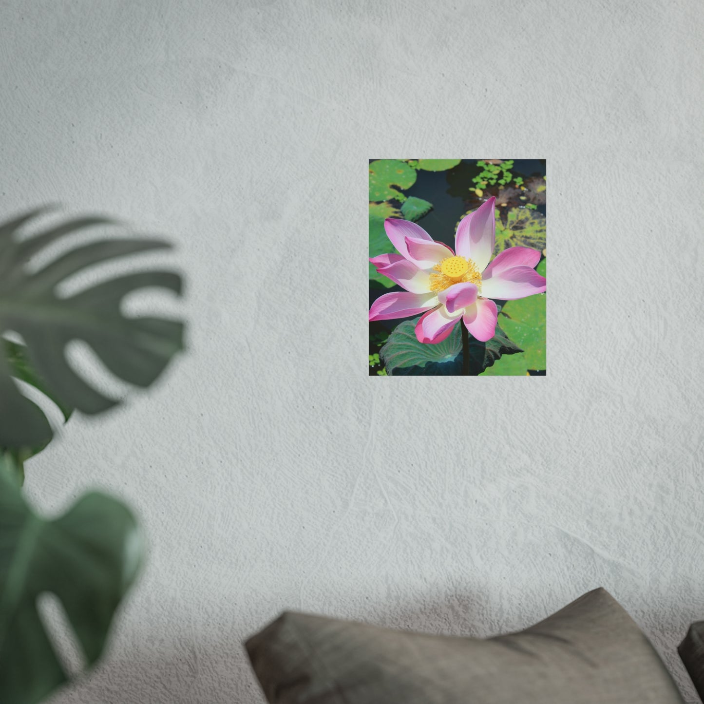 Pink lotus - Fine Art Posters