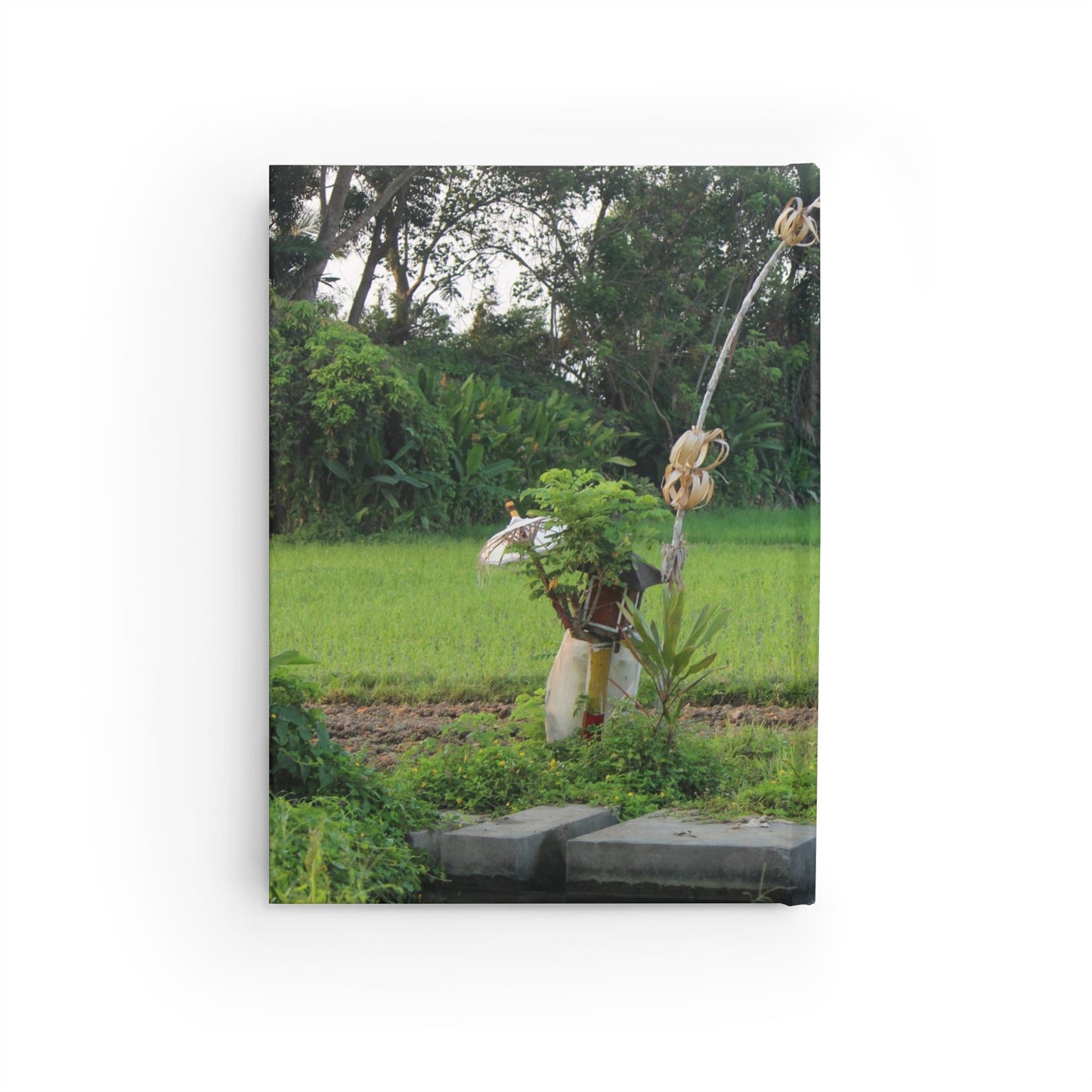 Rice Fields - Journal - Blank