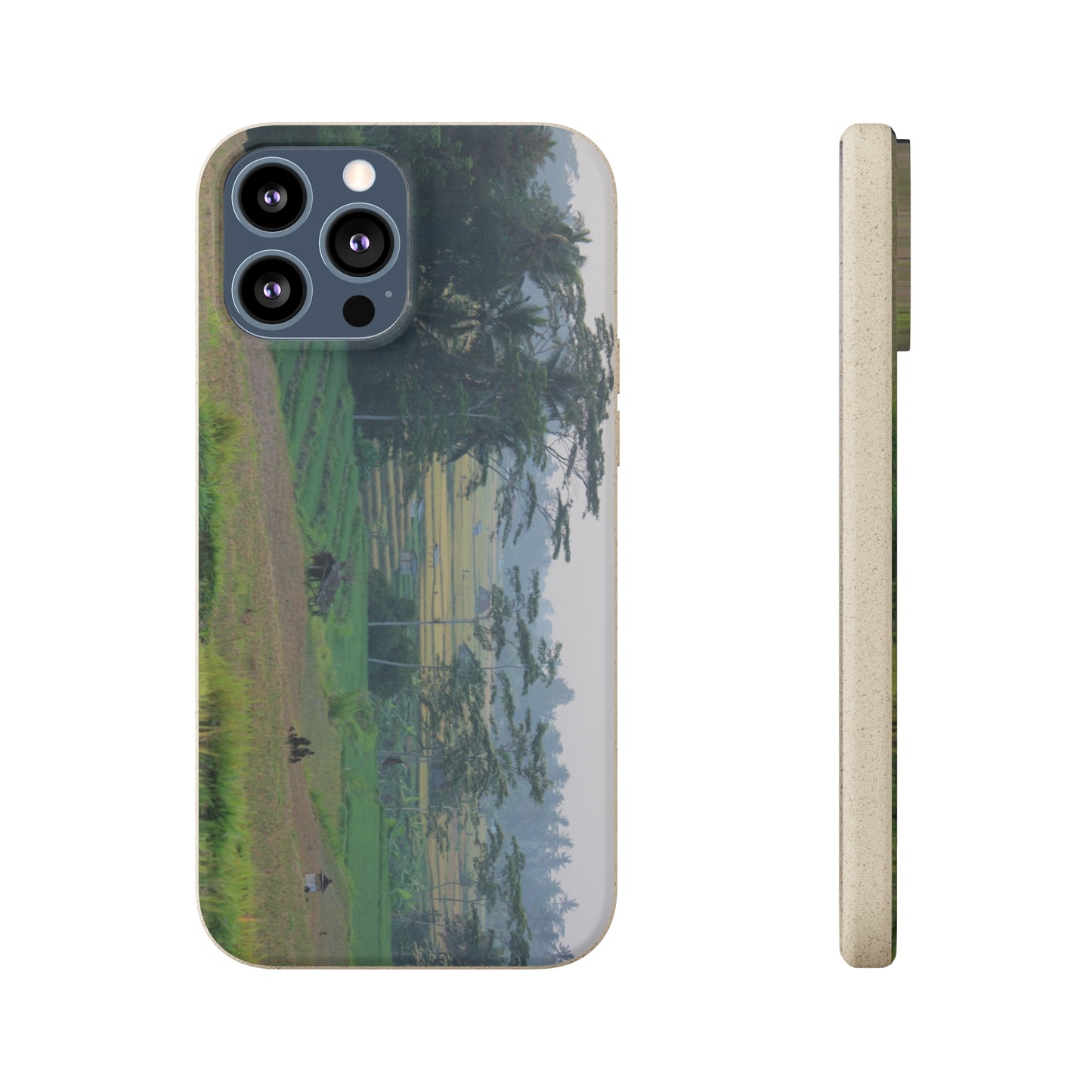 Rice fields - Biodegradable Cases