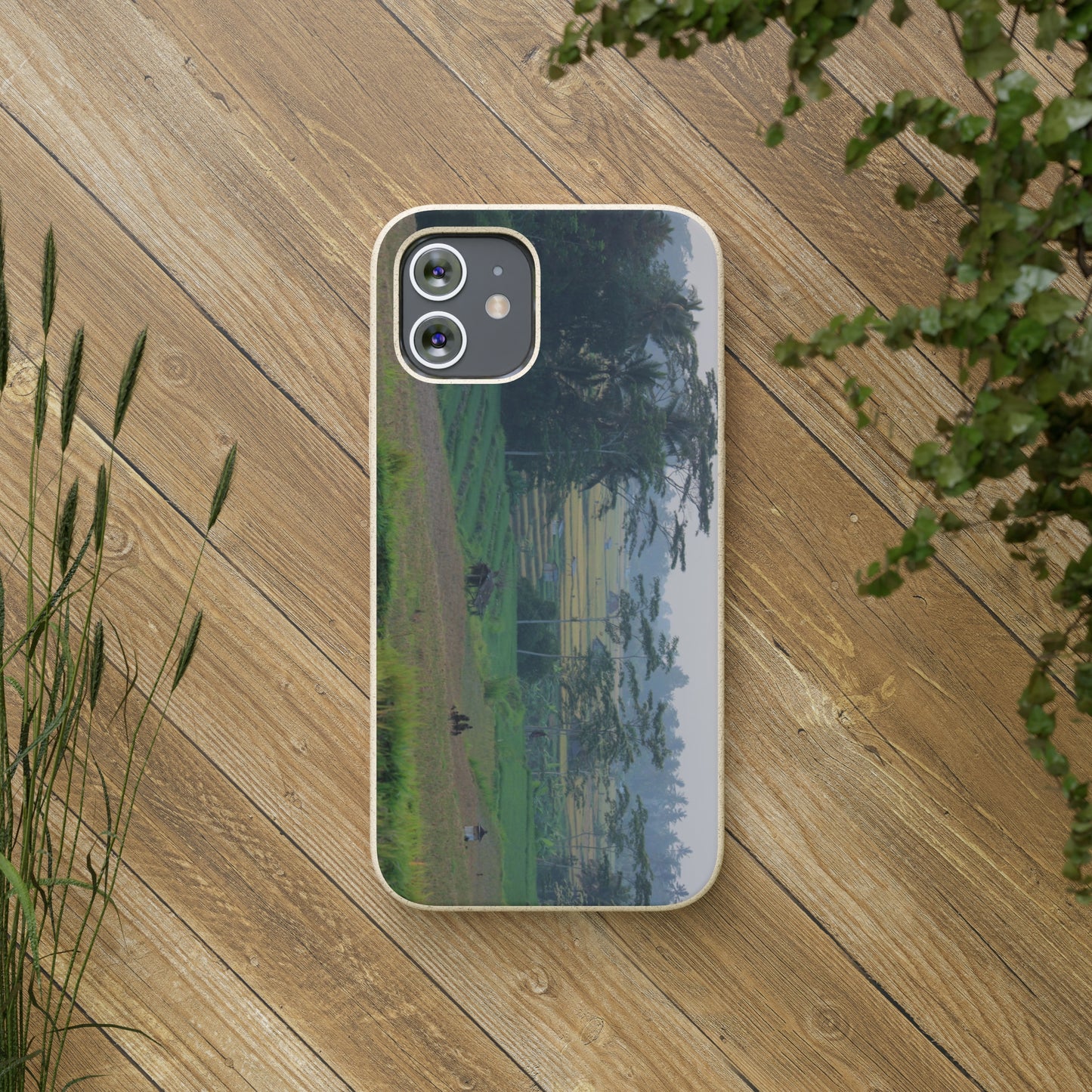 Rice fields - Biodegradable Cases