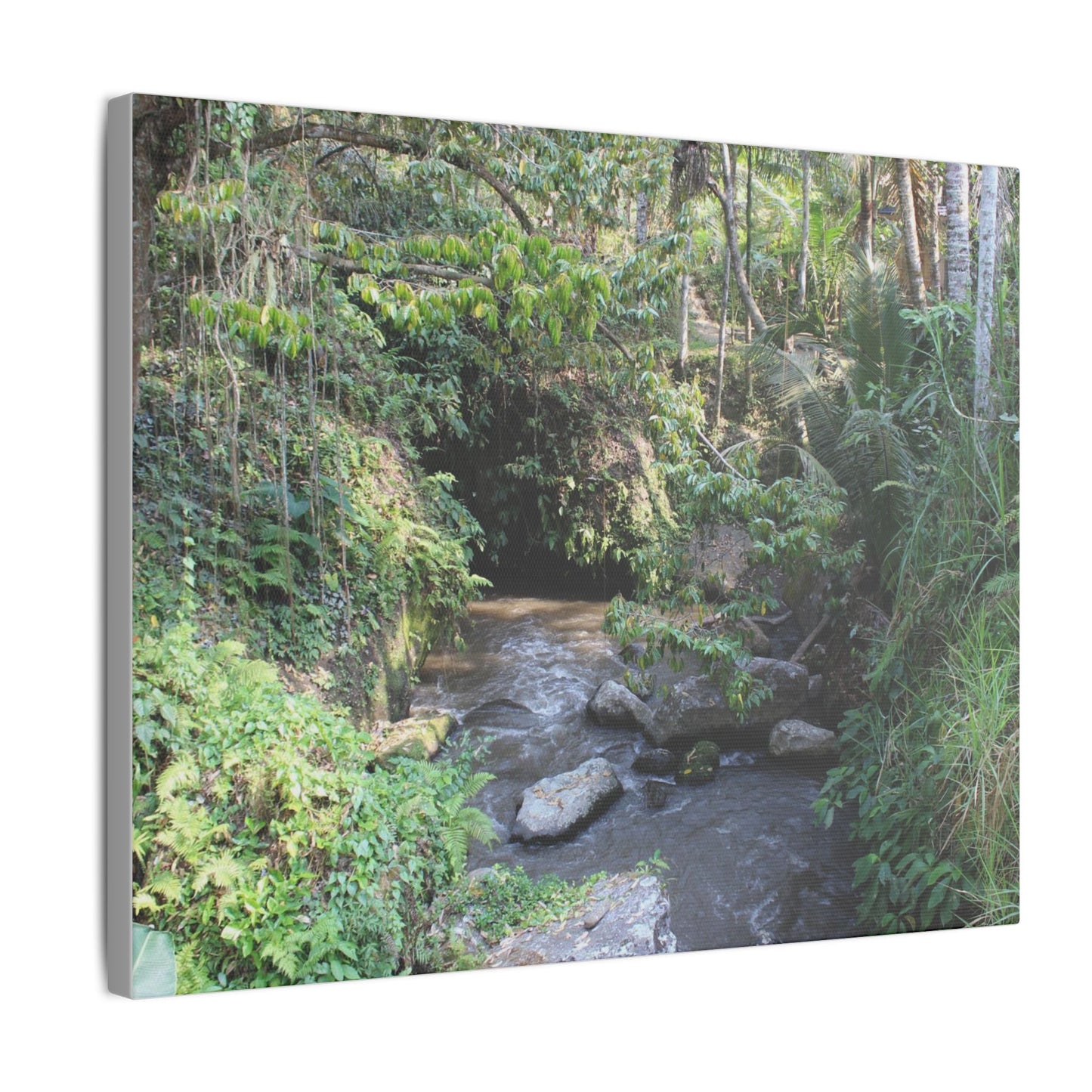 Rainforest Stream - Matte Canvas, Stretched, 0.75"
