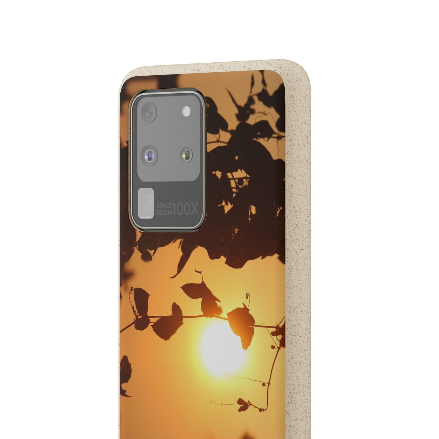 Sunset - Biodegradable Cases