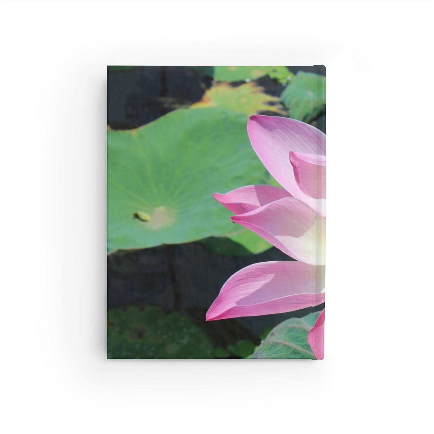 Pink lotus - Journal - Blank pages