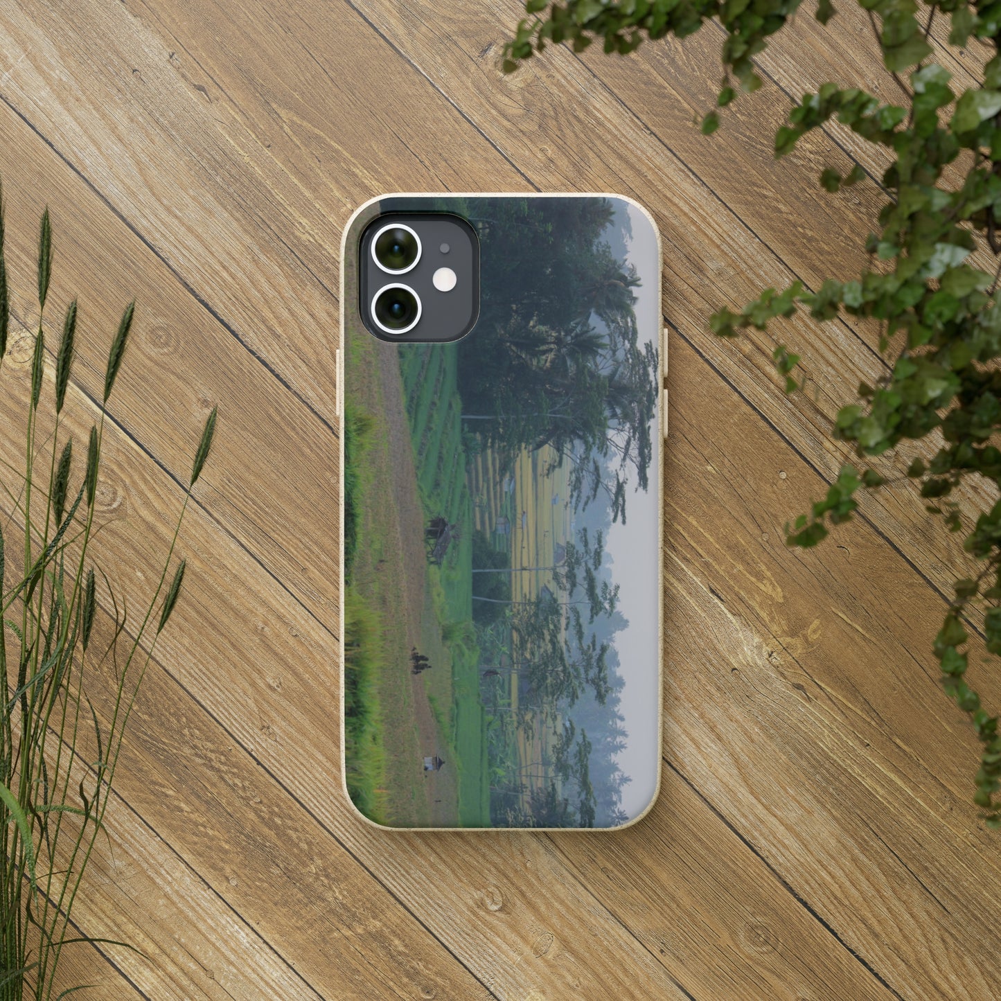 Rice fields - Biodegradable Cases