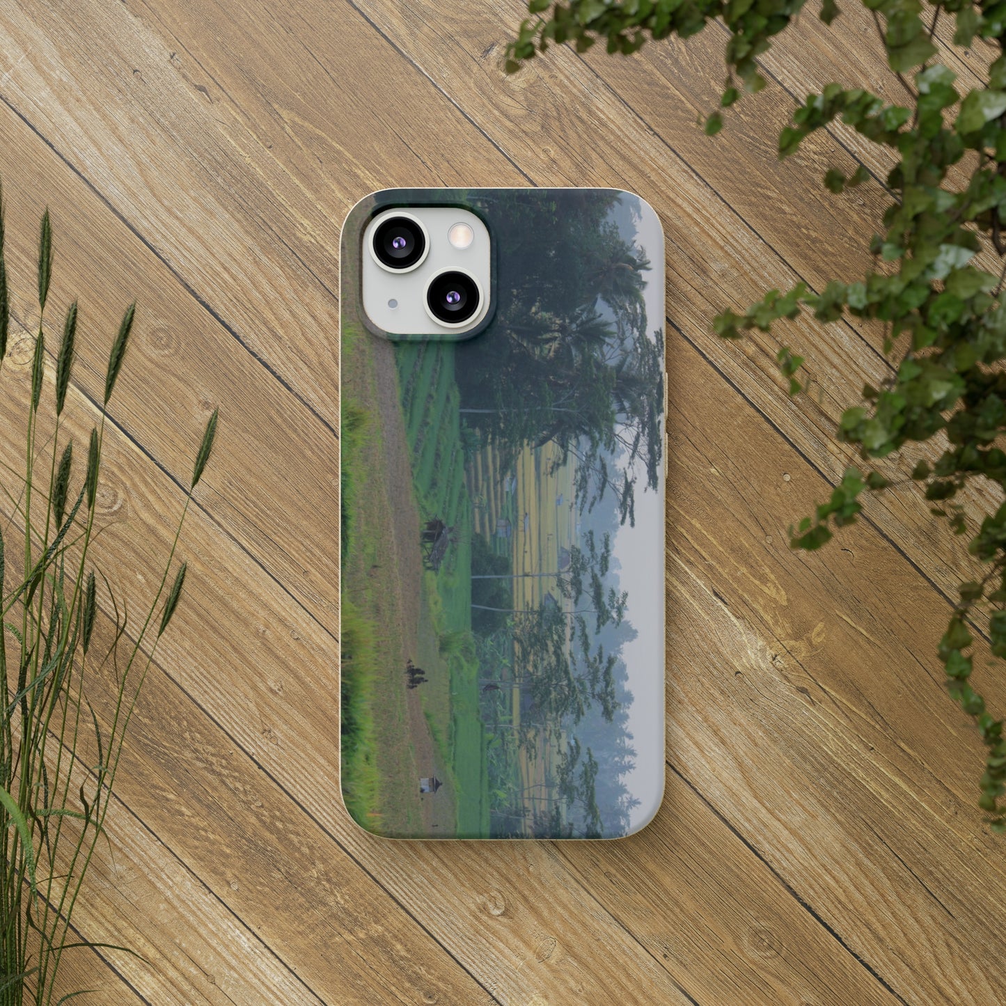Rice fields - Biodegradable Cases