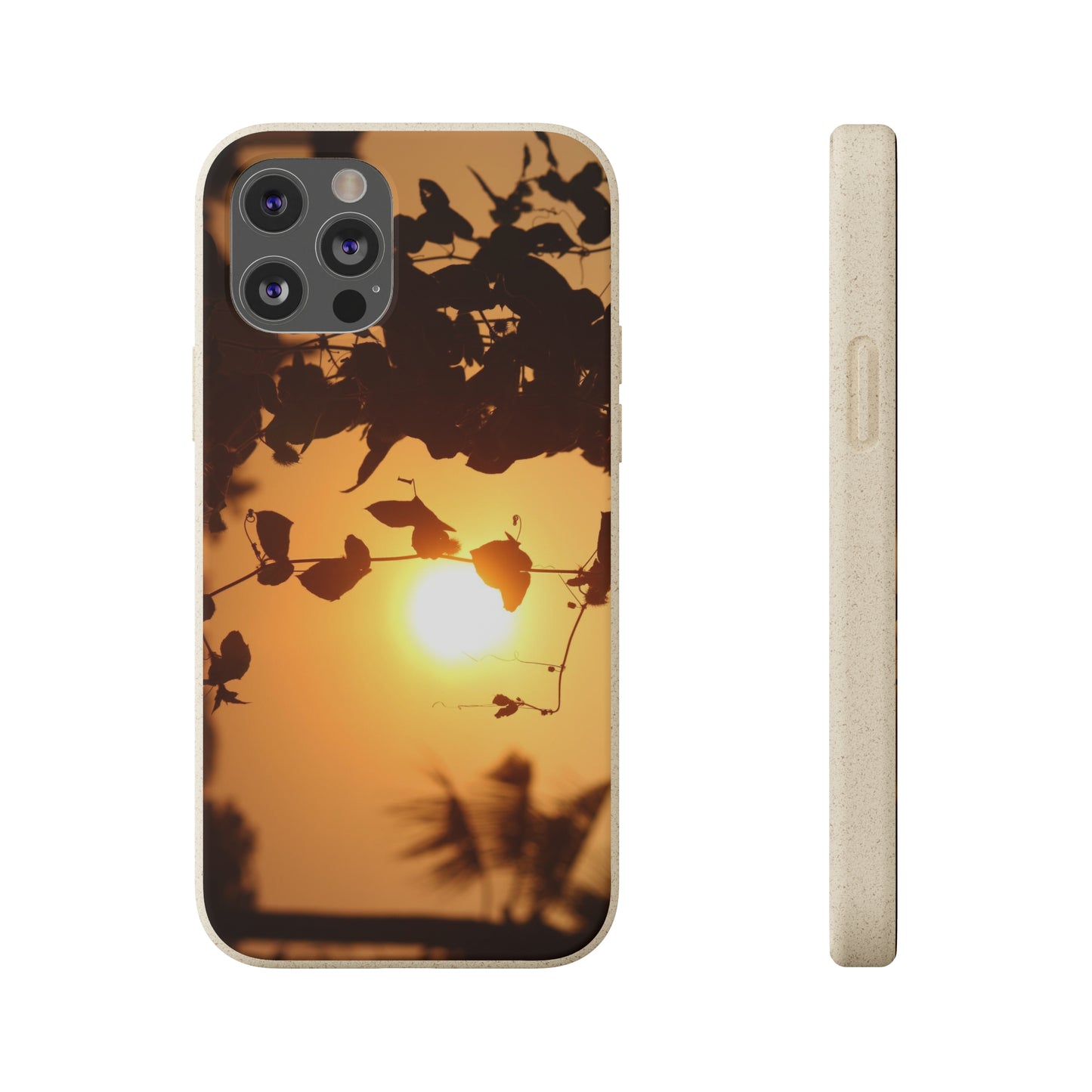 Sunset - Biodegradable Cases