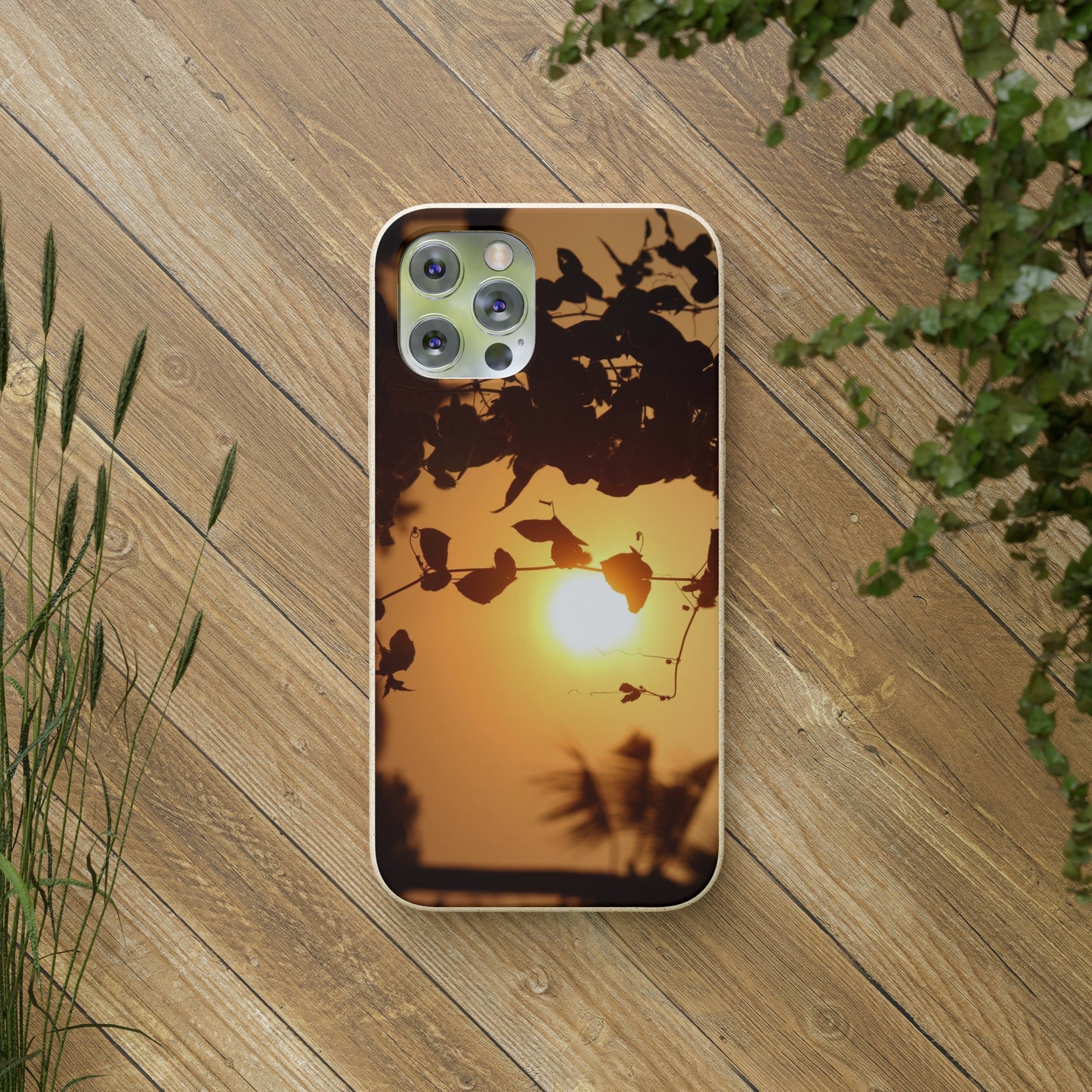 Sunset - Biodegradable Cases