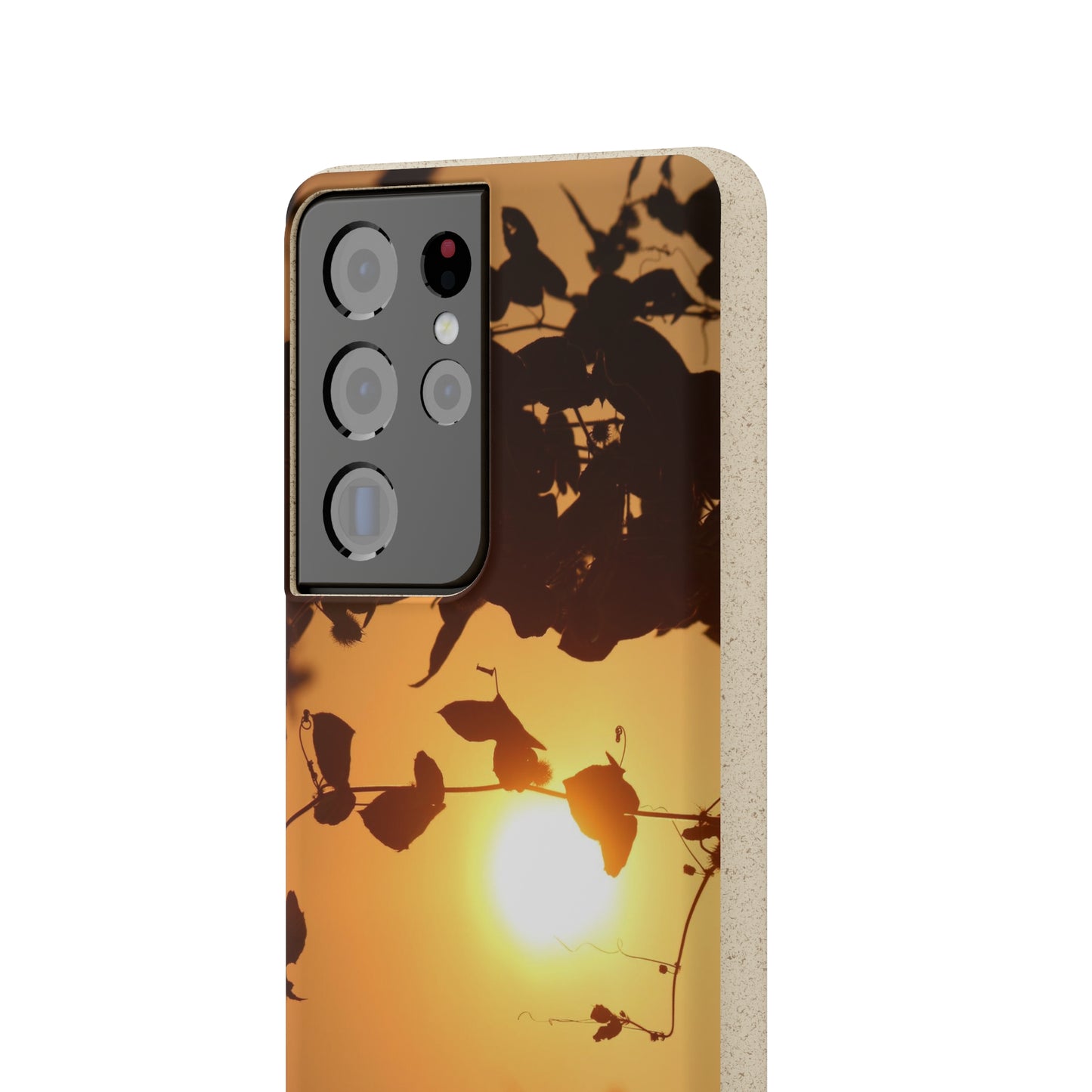 Sunset - Biodegradable Cases
