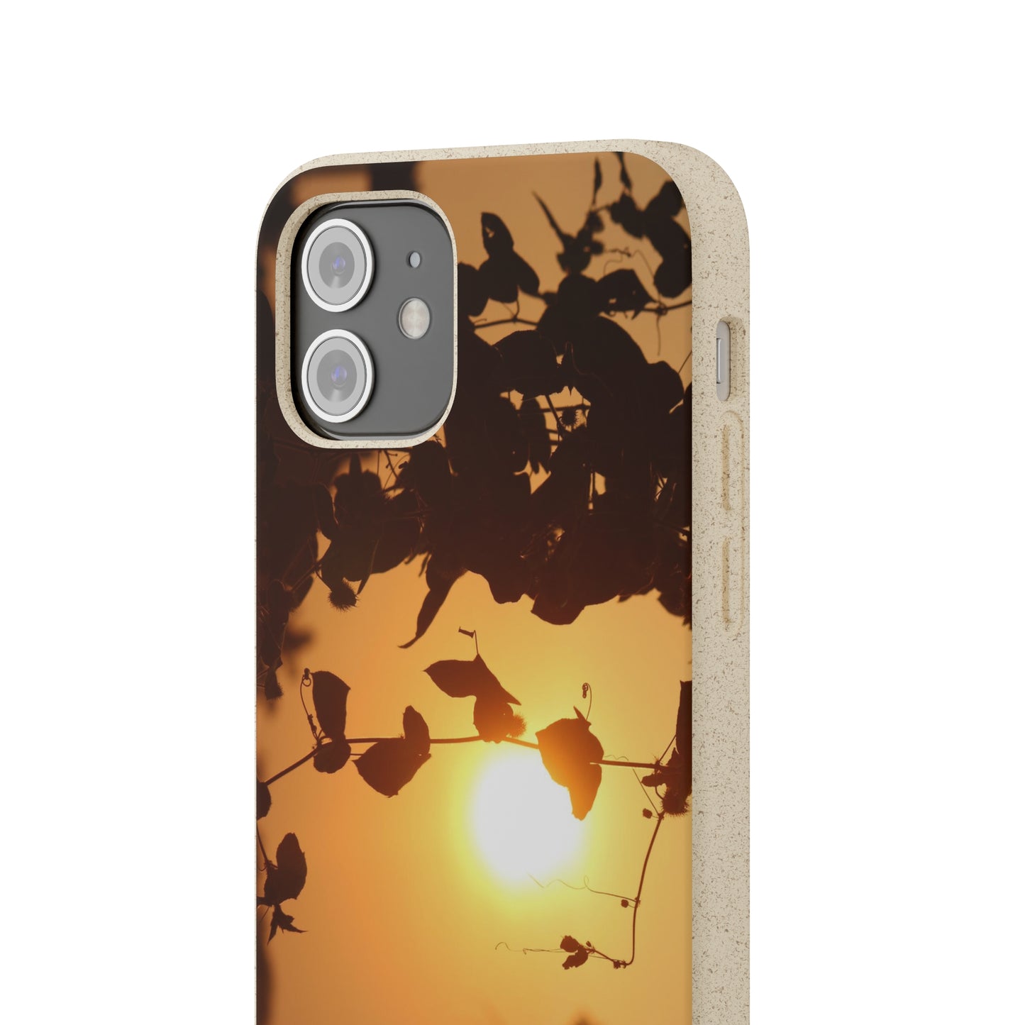 Sunset - Biodegradable Cases