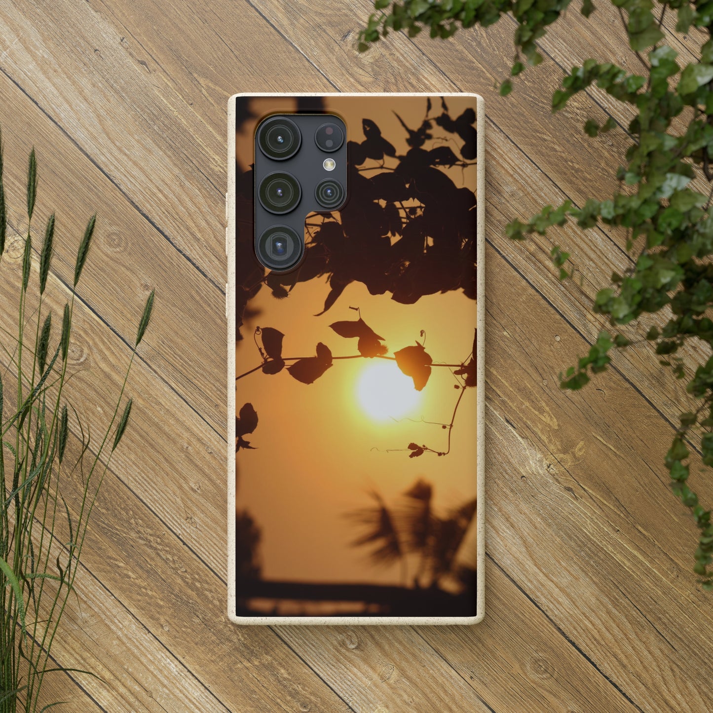 Sunset - Biodegradable Cases