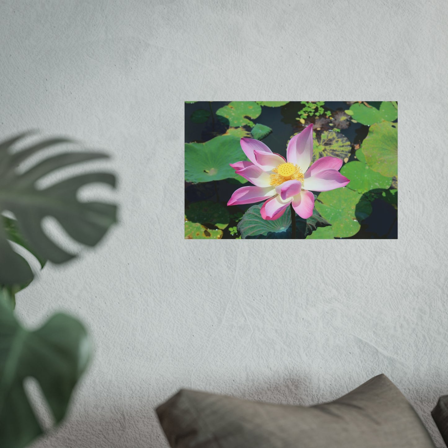 Pink lotus - Fine Art Posters