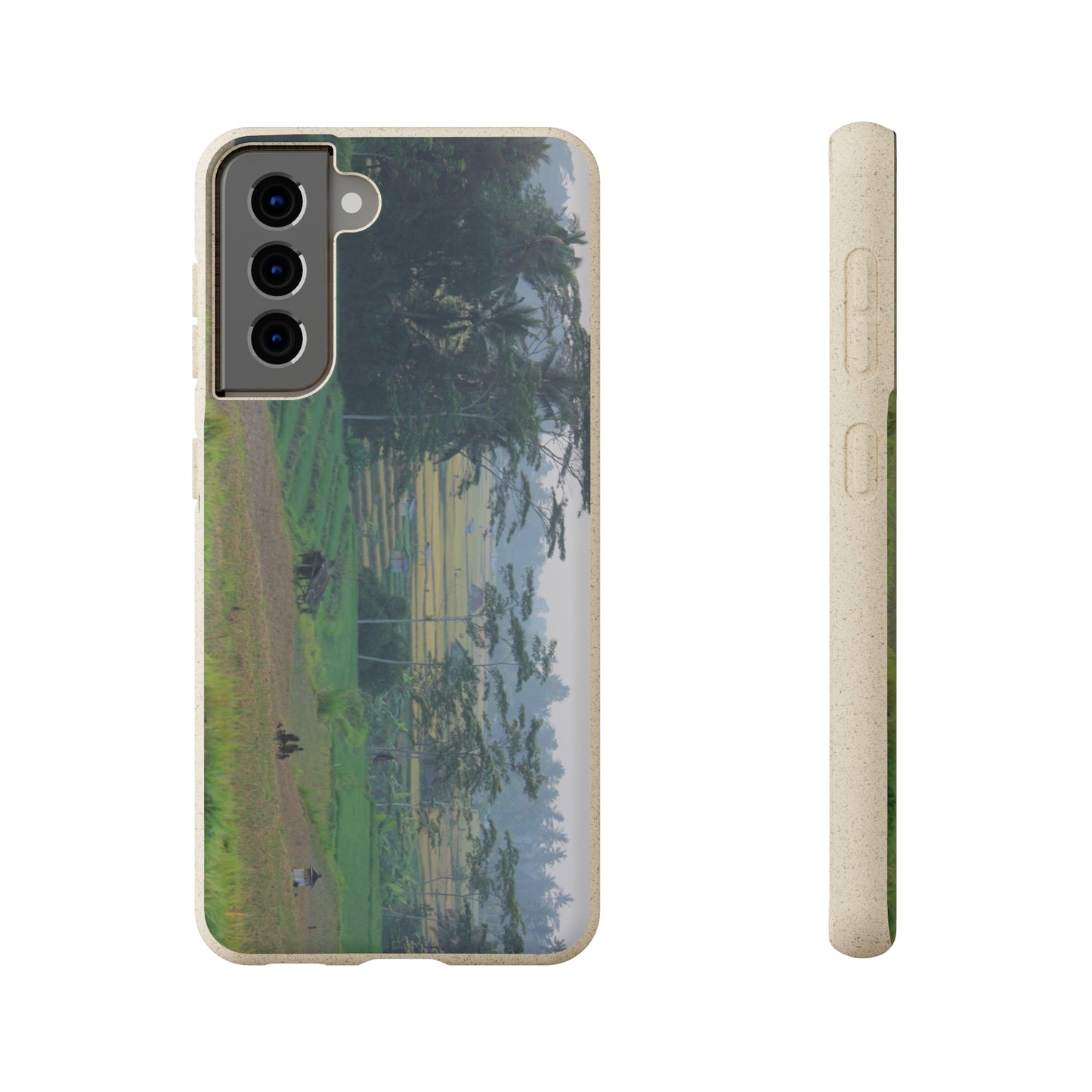 Rice fields - Biodegradable Cases