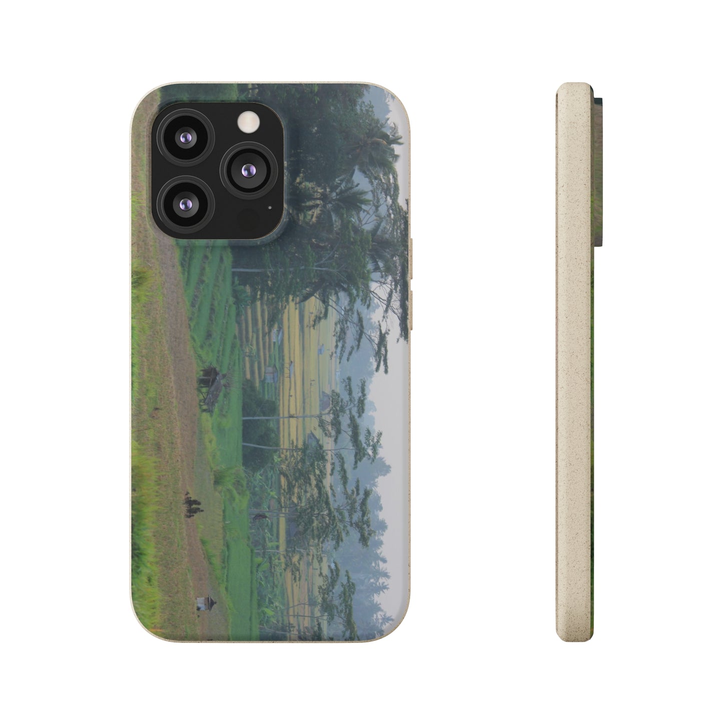 Rice fields - Biodegradable Cases