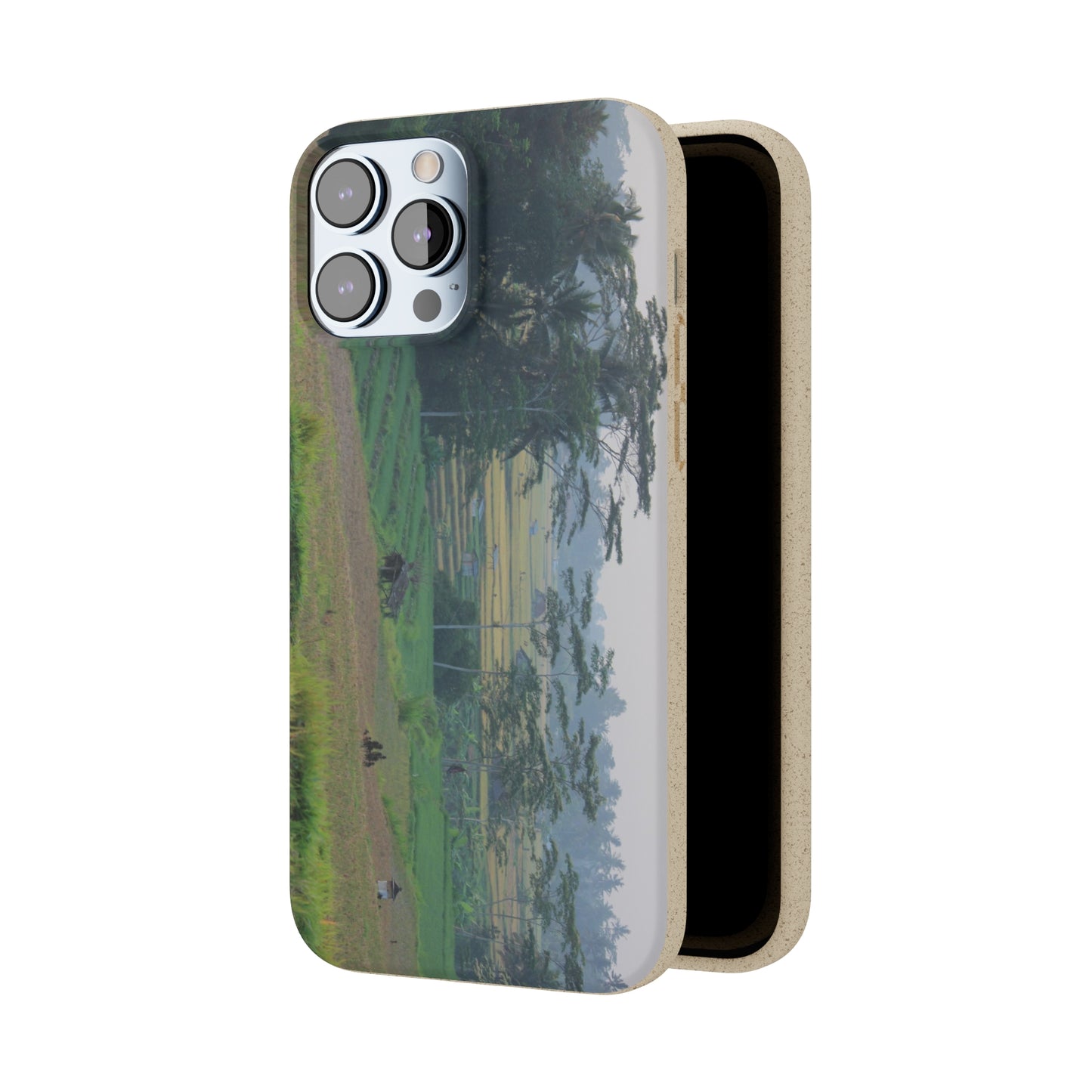 Rice fields - Biodegradable Cases