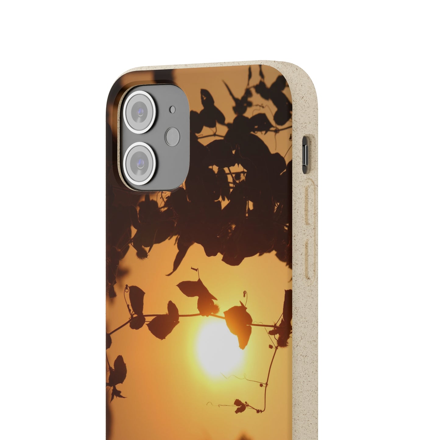 Sunset - Biodegradable Cases