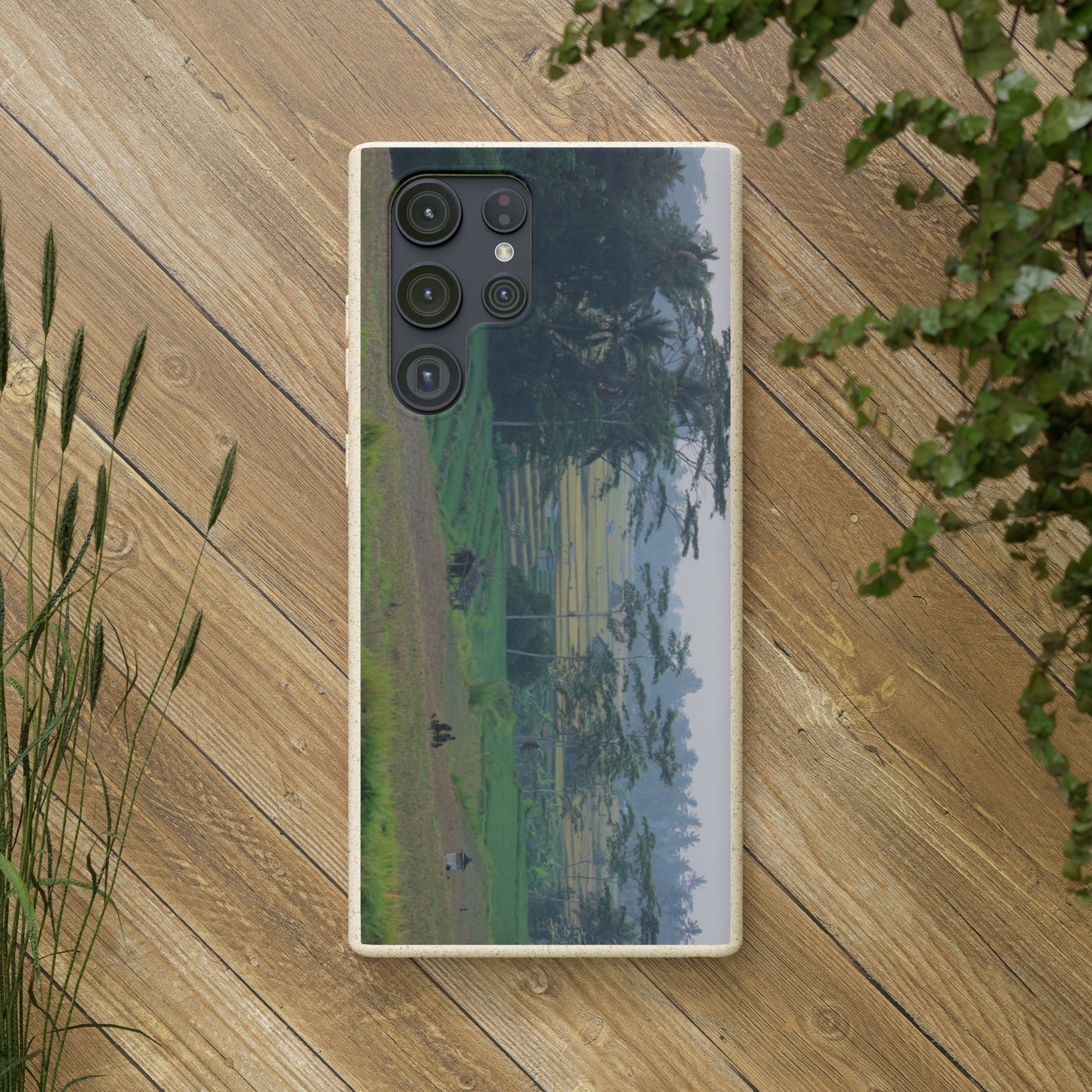 Rice fields - Biodegradable Cases