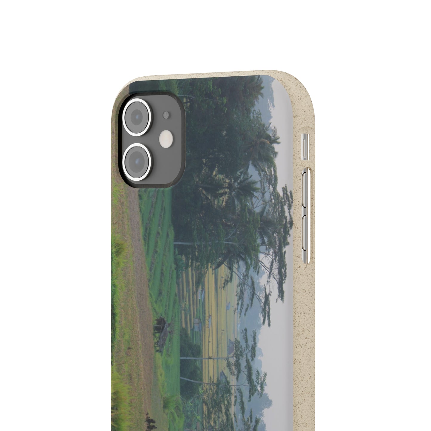 Rice fields - Biodegradable Cases