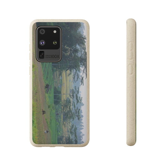 Rice fields - Biodegradable Cases
