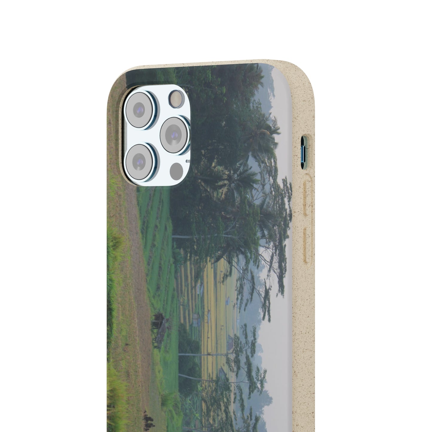 Rice fields - Biodegradable Cases
