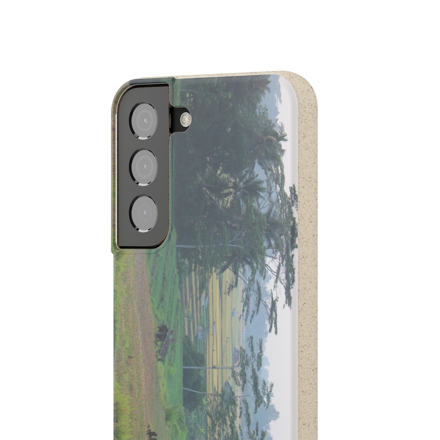 Rice fields - Biodegradable Cases