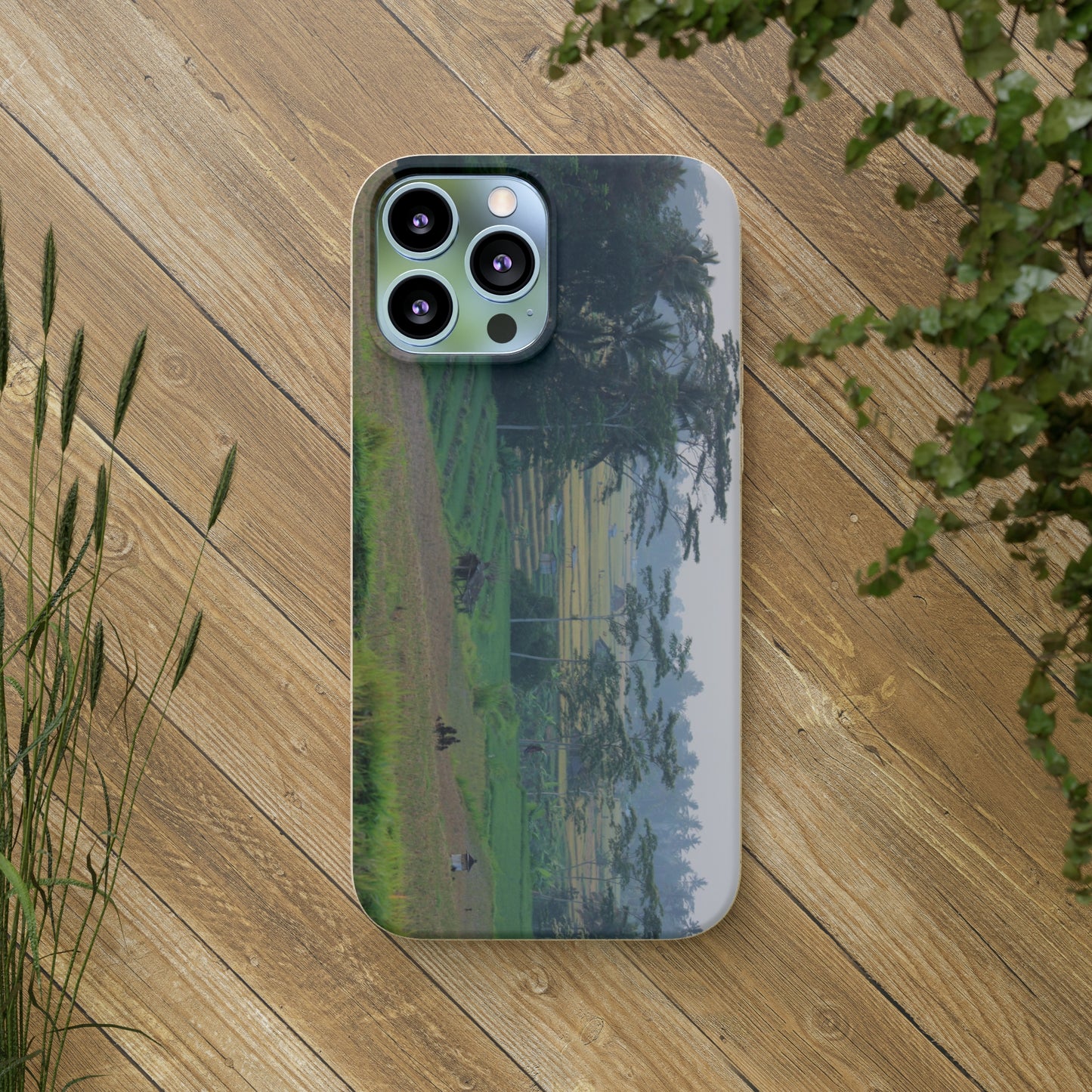 Rice fields - Biodegradable Cases