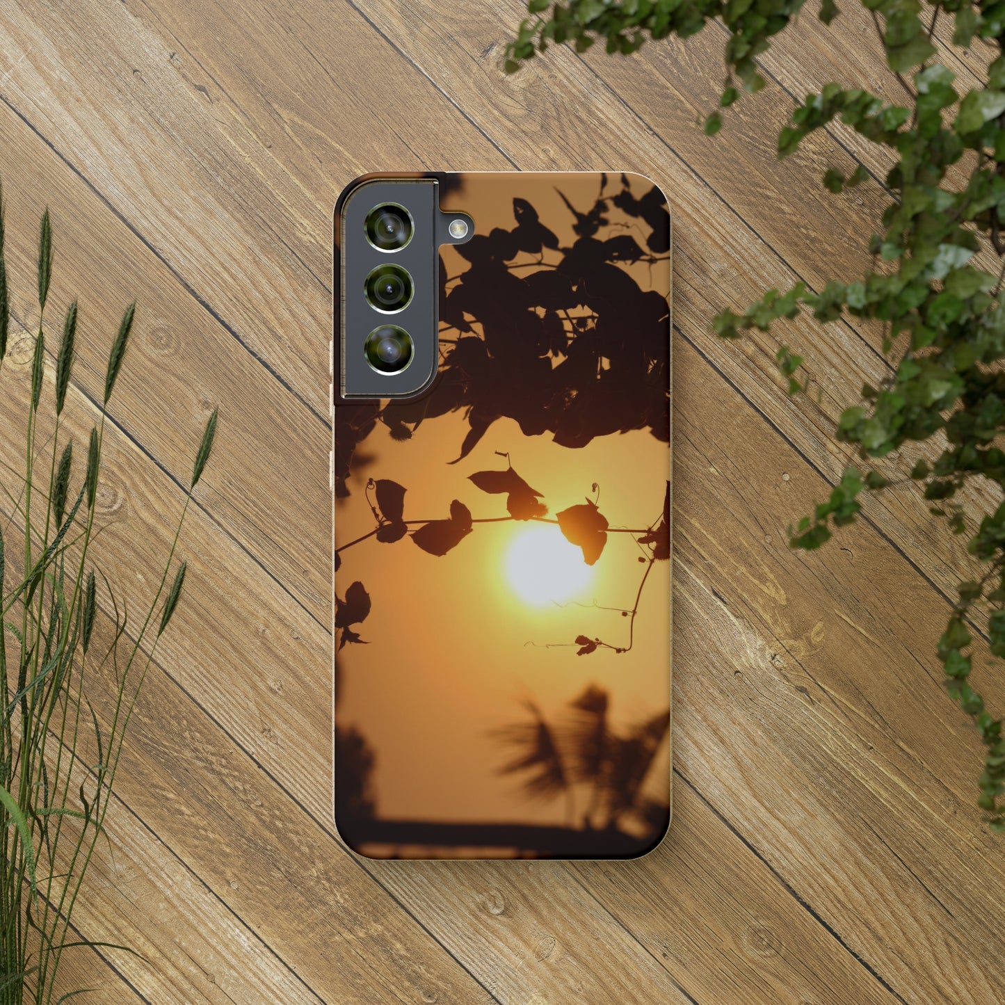 Sunset - Biodegradable Cases