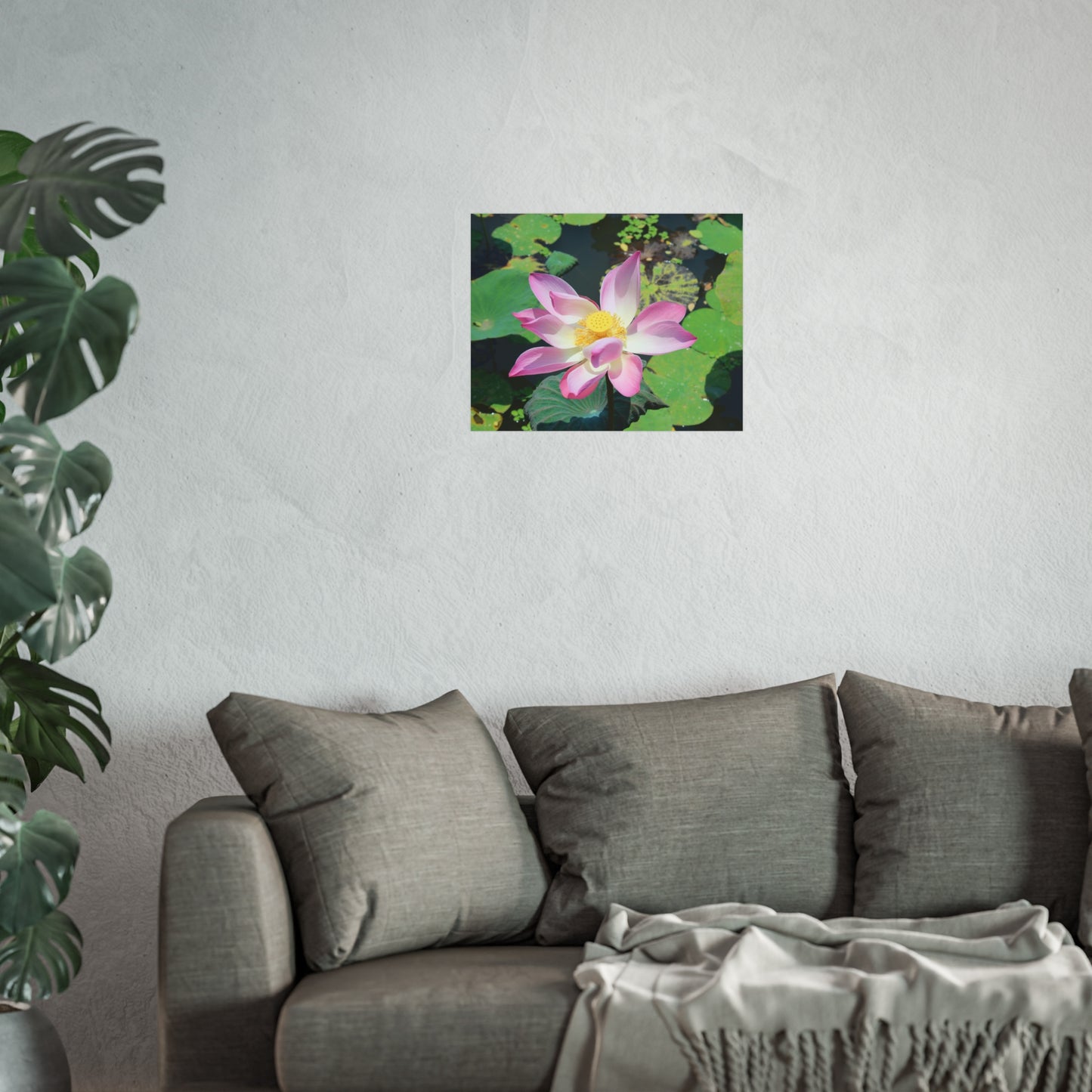 Rosa Lotus – Kunstposter