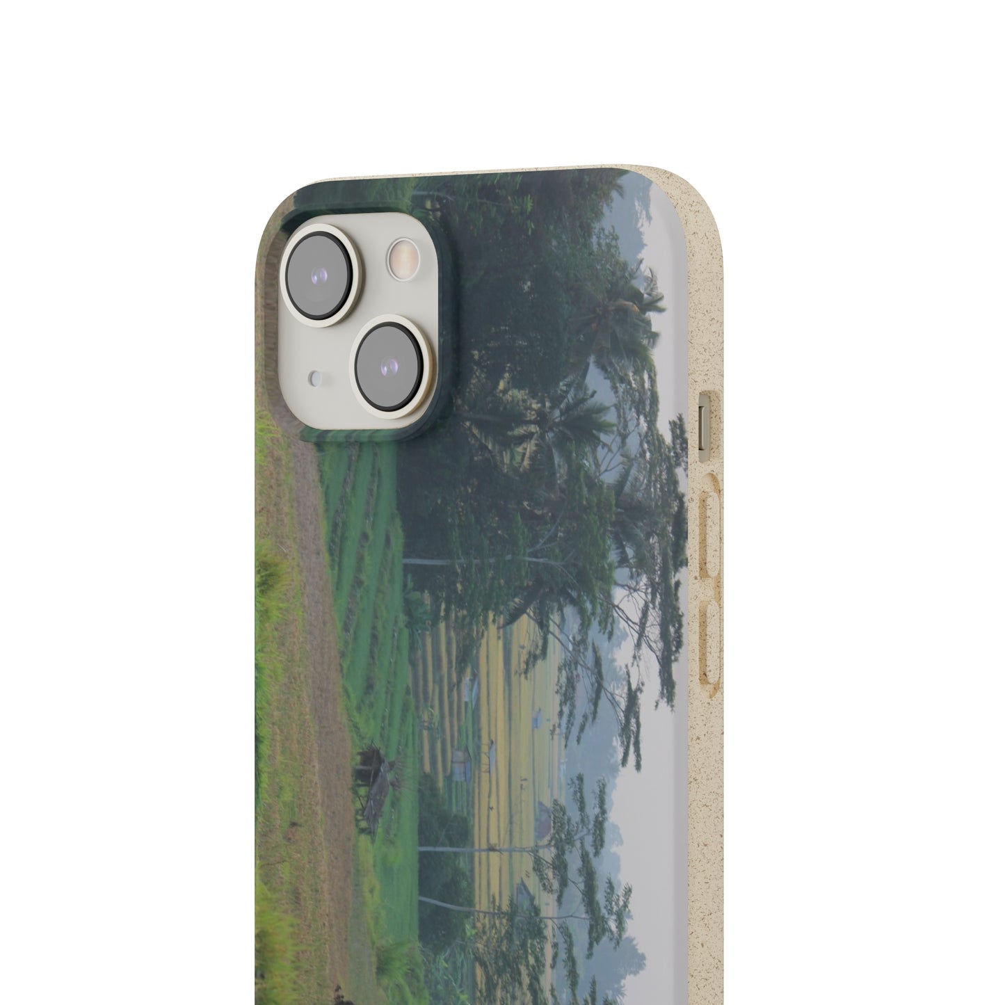 Rice fields - Biodegradable Cases