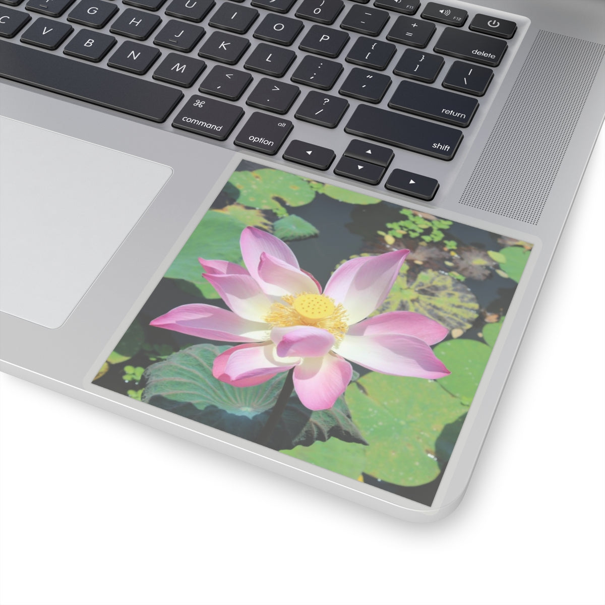 Pink lotus - Kiss-Cut Stickers