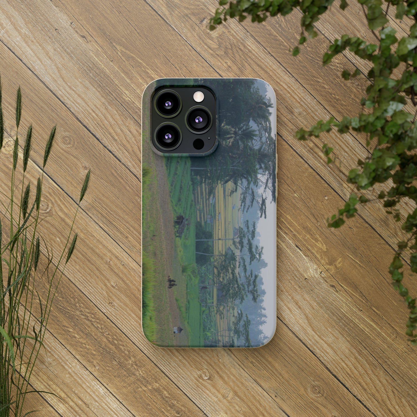 Rice fields - Biodegradable Cases