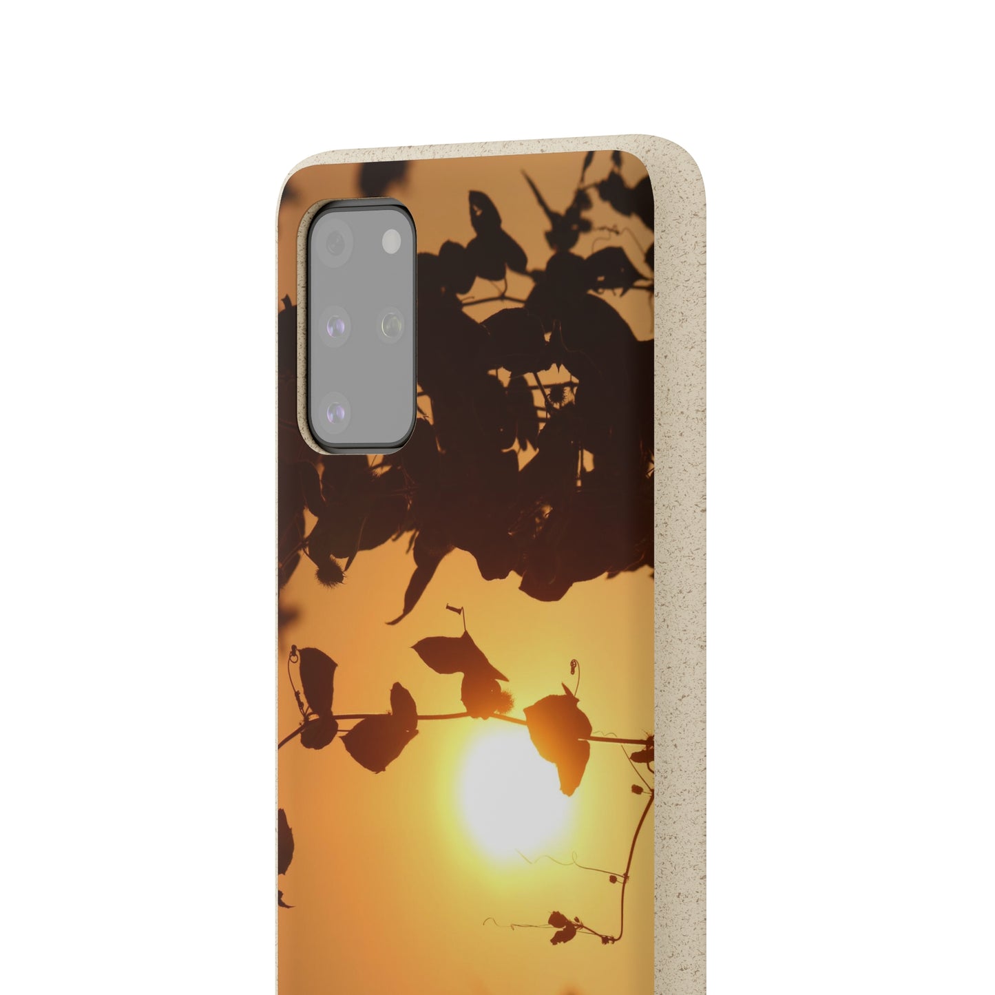 Sunset - Biodegradable Cases