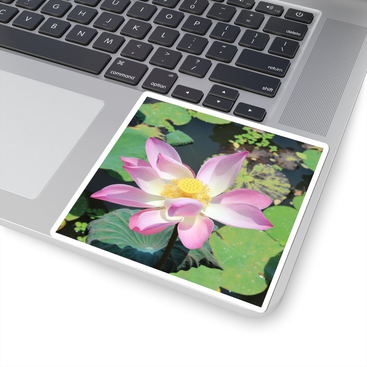 Pink lotus - Kiss-Cut Stickers