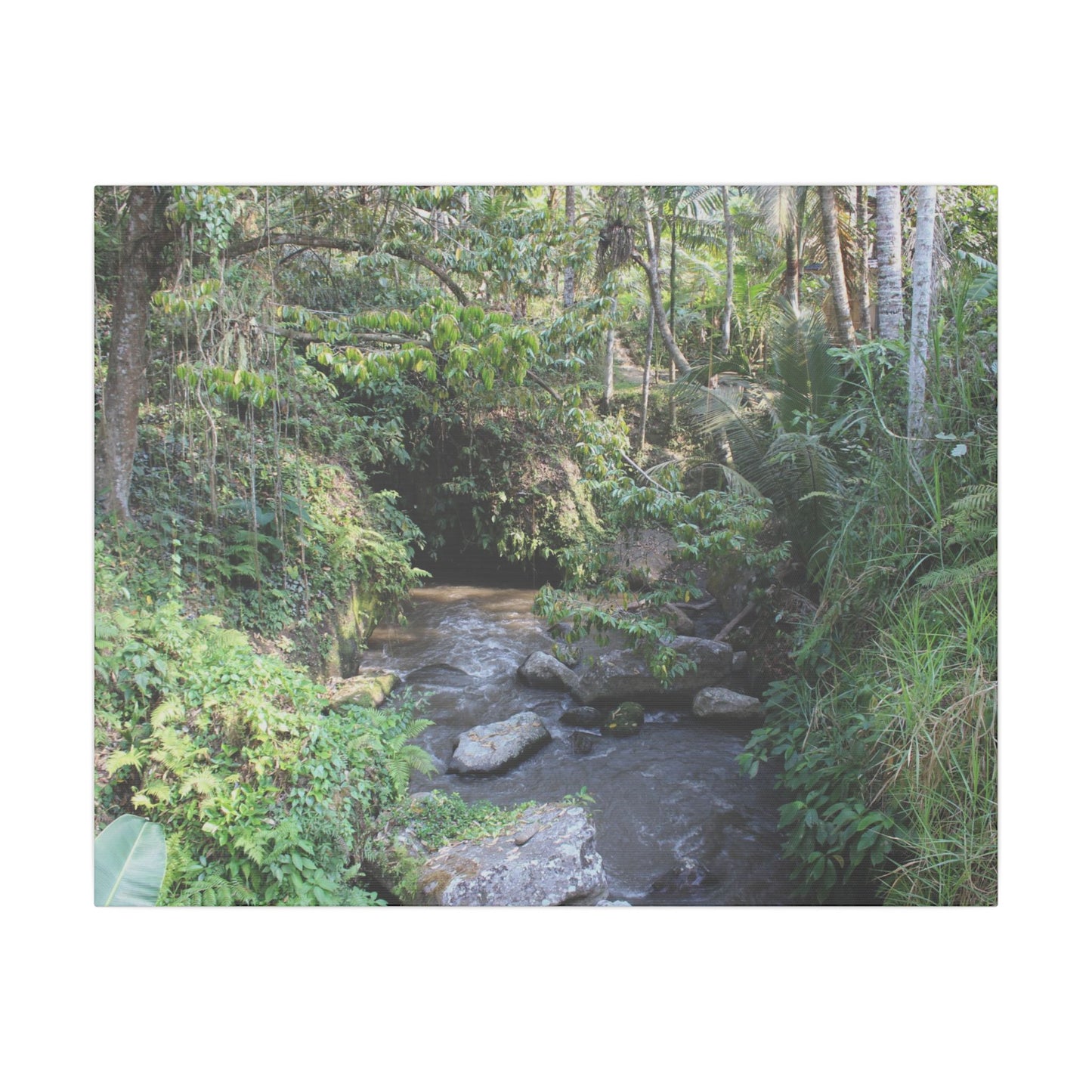 Rainforest Stream - Matte Canvas, Stretched, 0.75"
