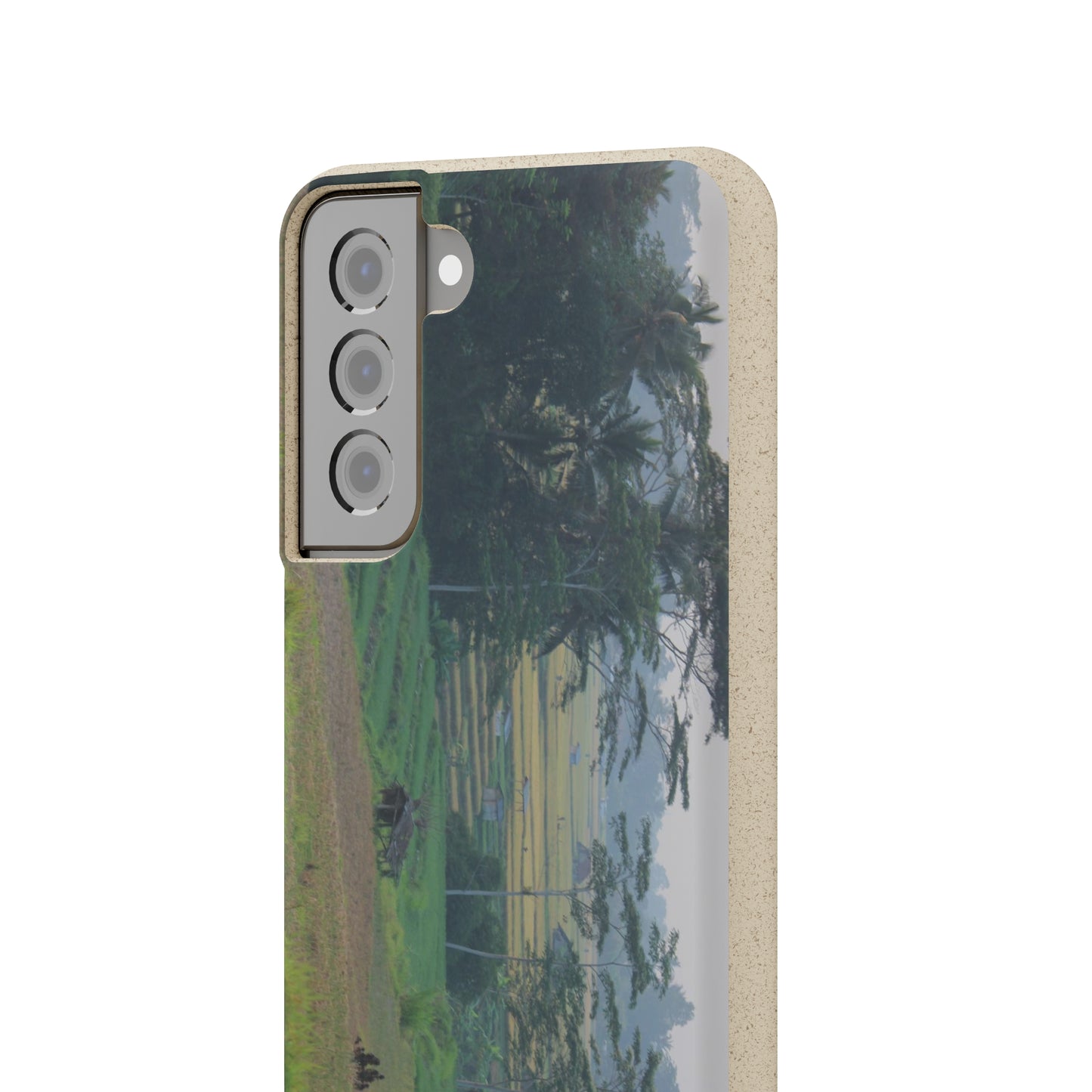 Rice fields - Biodegradable Cases