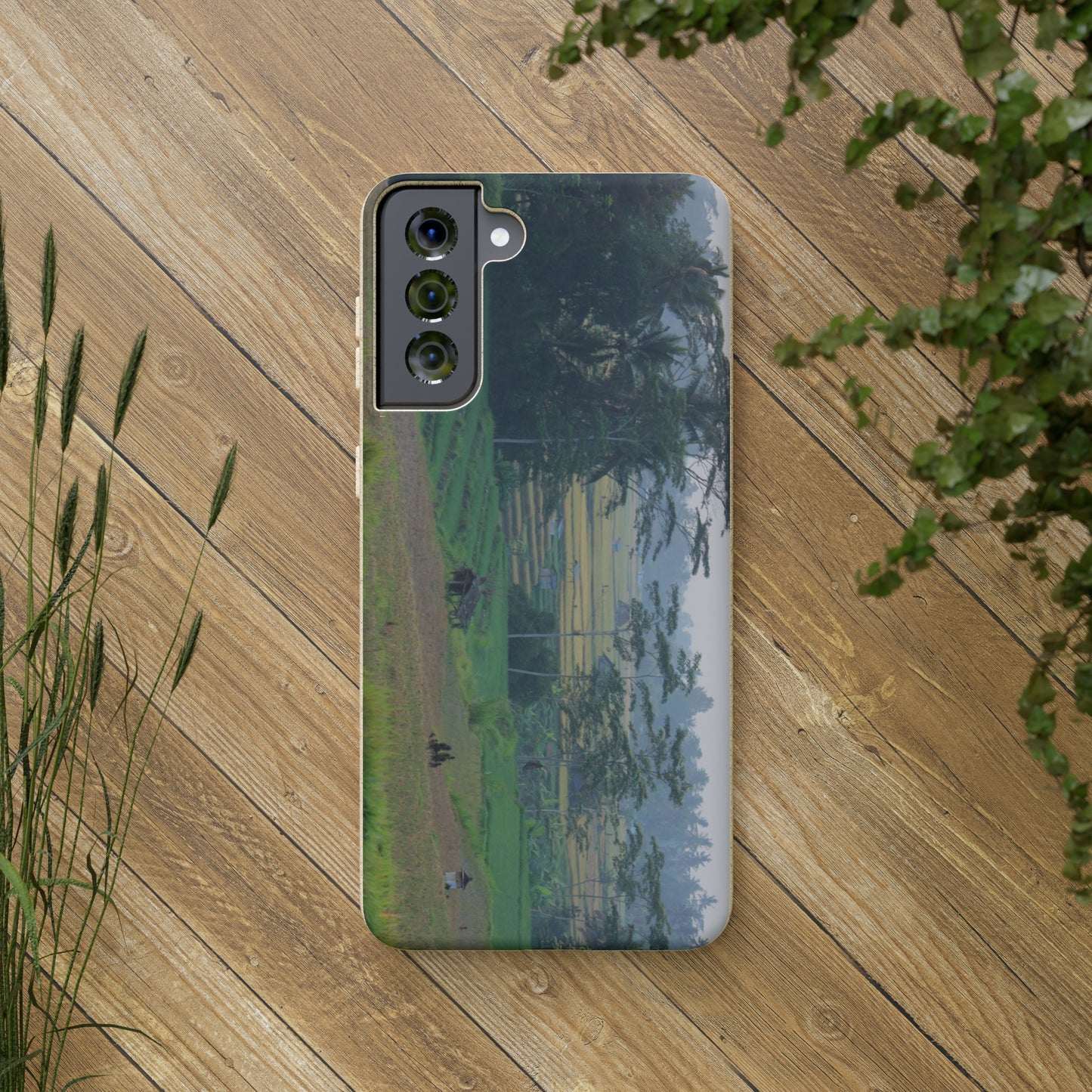 Rice fields - Biodegradable Cases