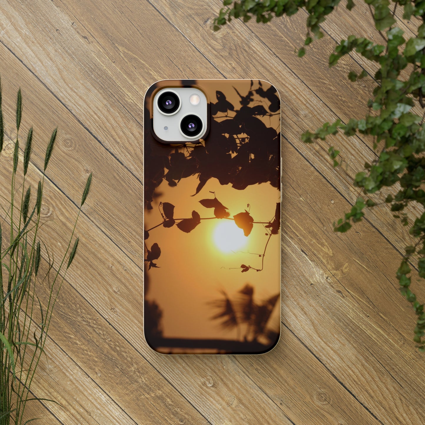 Sunset - Biodegradable Cases