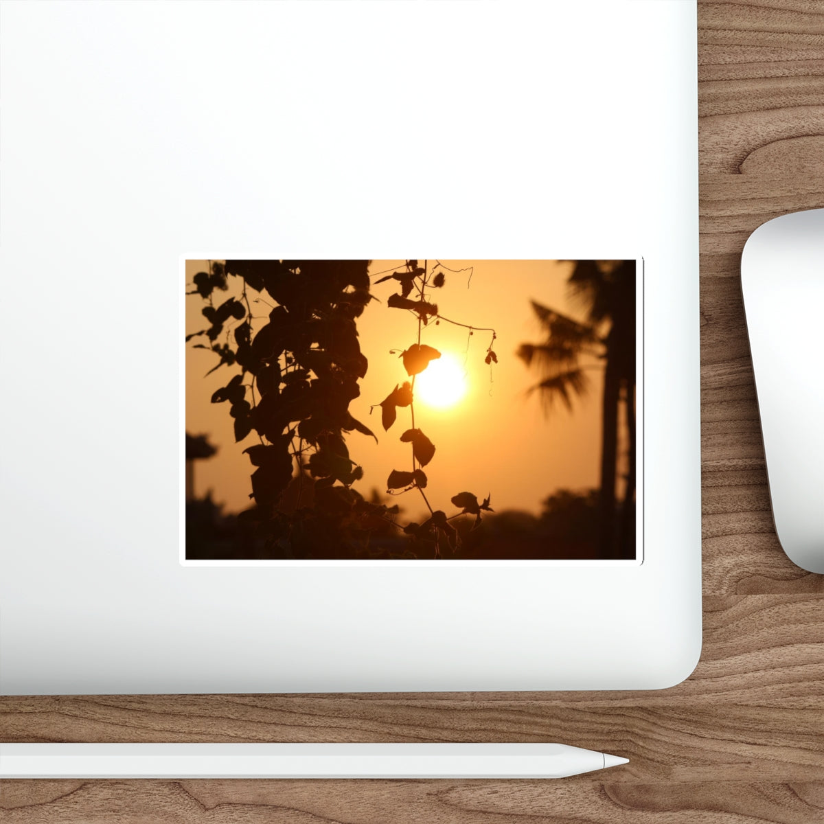 Die-Cut Stickers