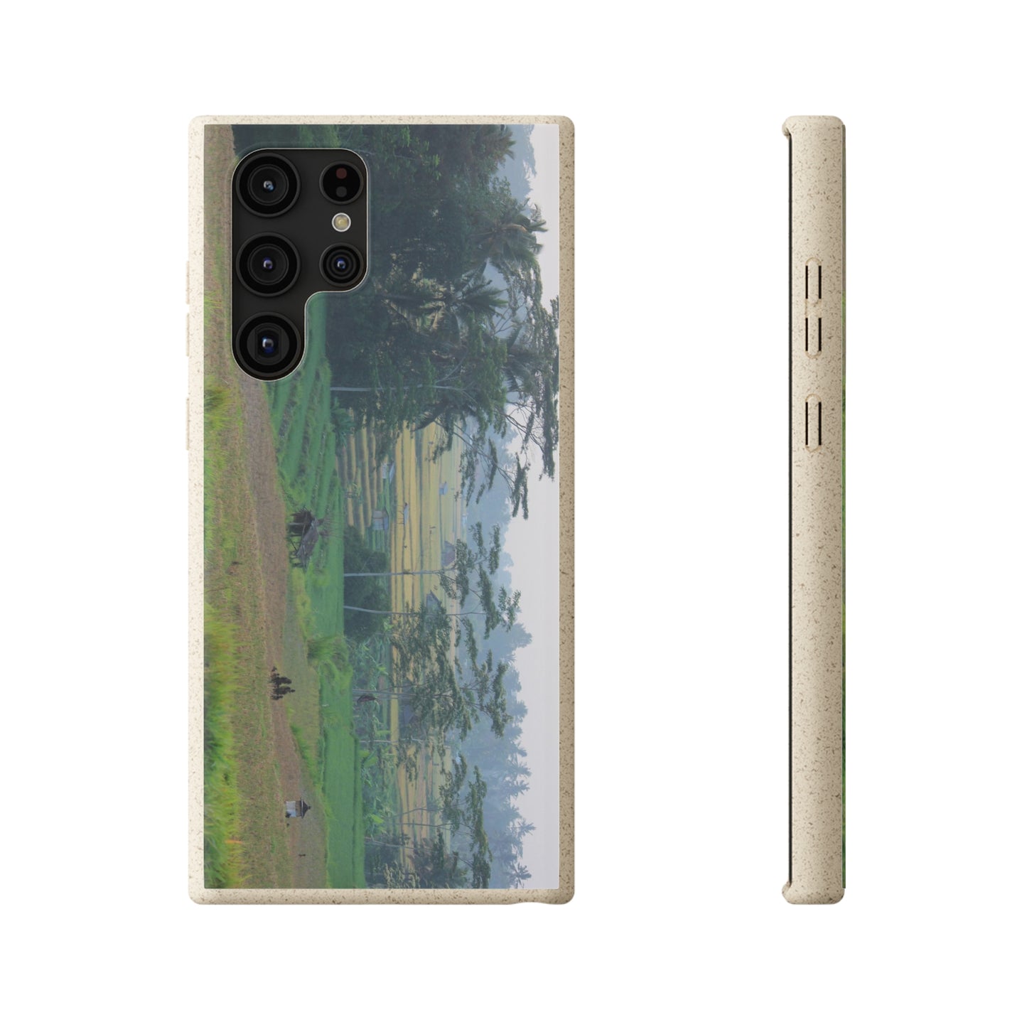 Rice fields - Biodegradable Cases