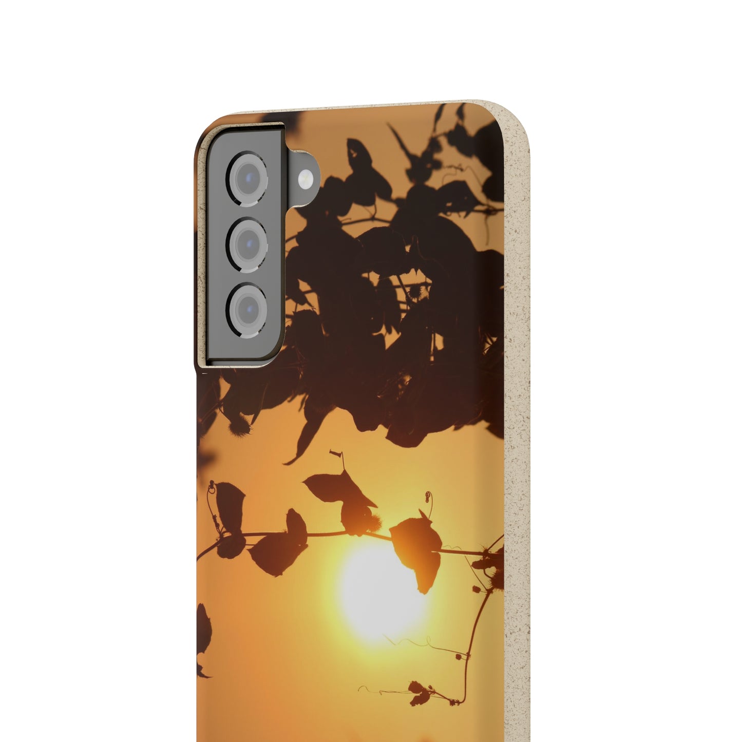 Sunset - Biodegradable Cases
