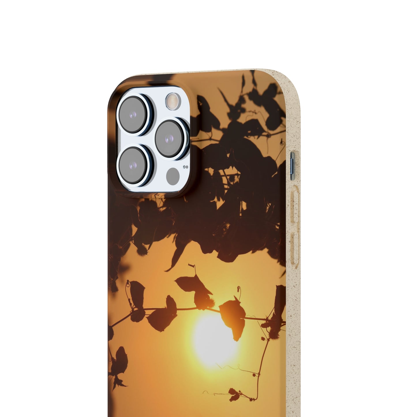Sunset - Biodegradable Cases