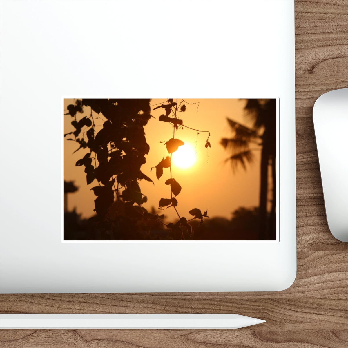 Die-Cut Stickers