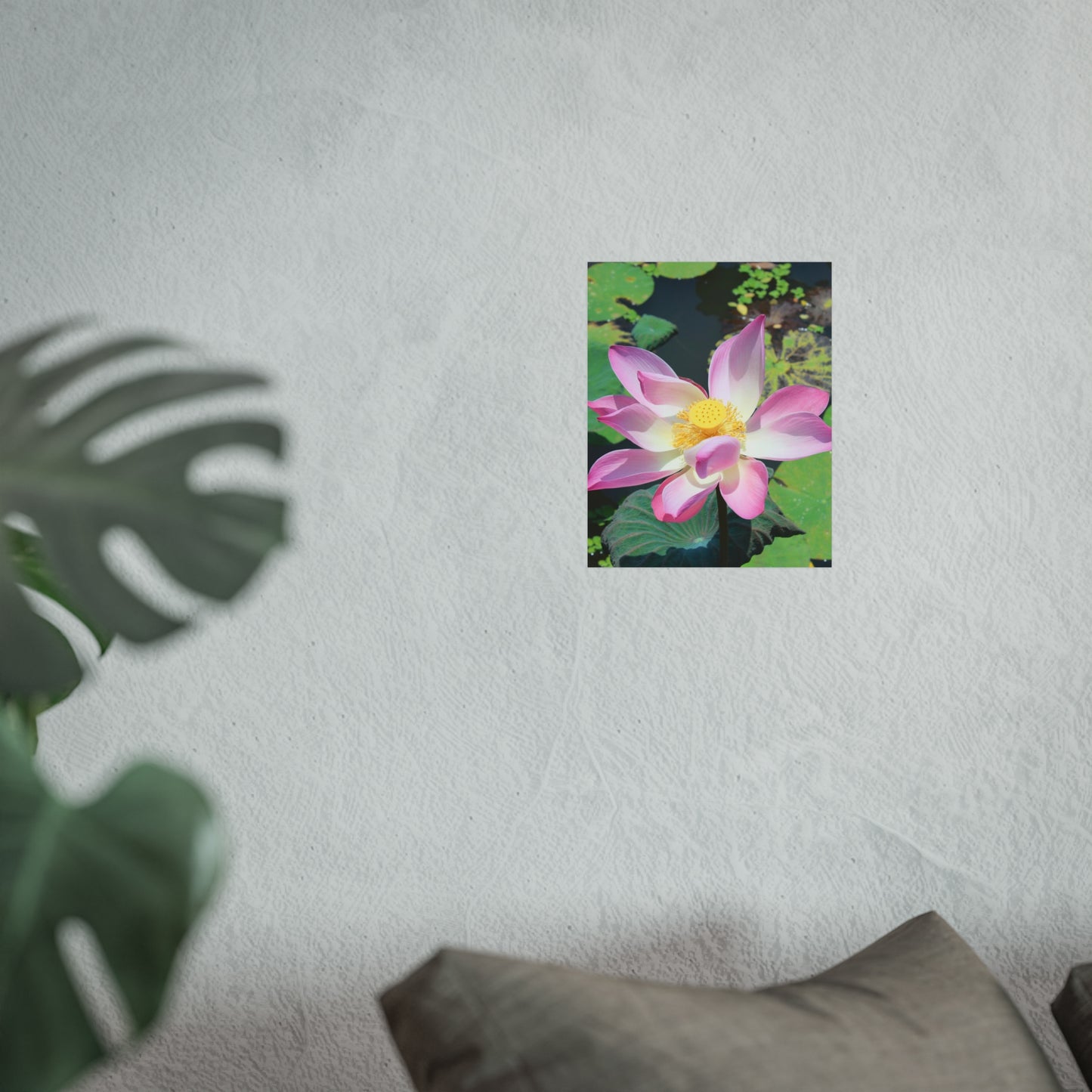 Rosa Lotus – Kunstposter