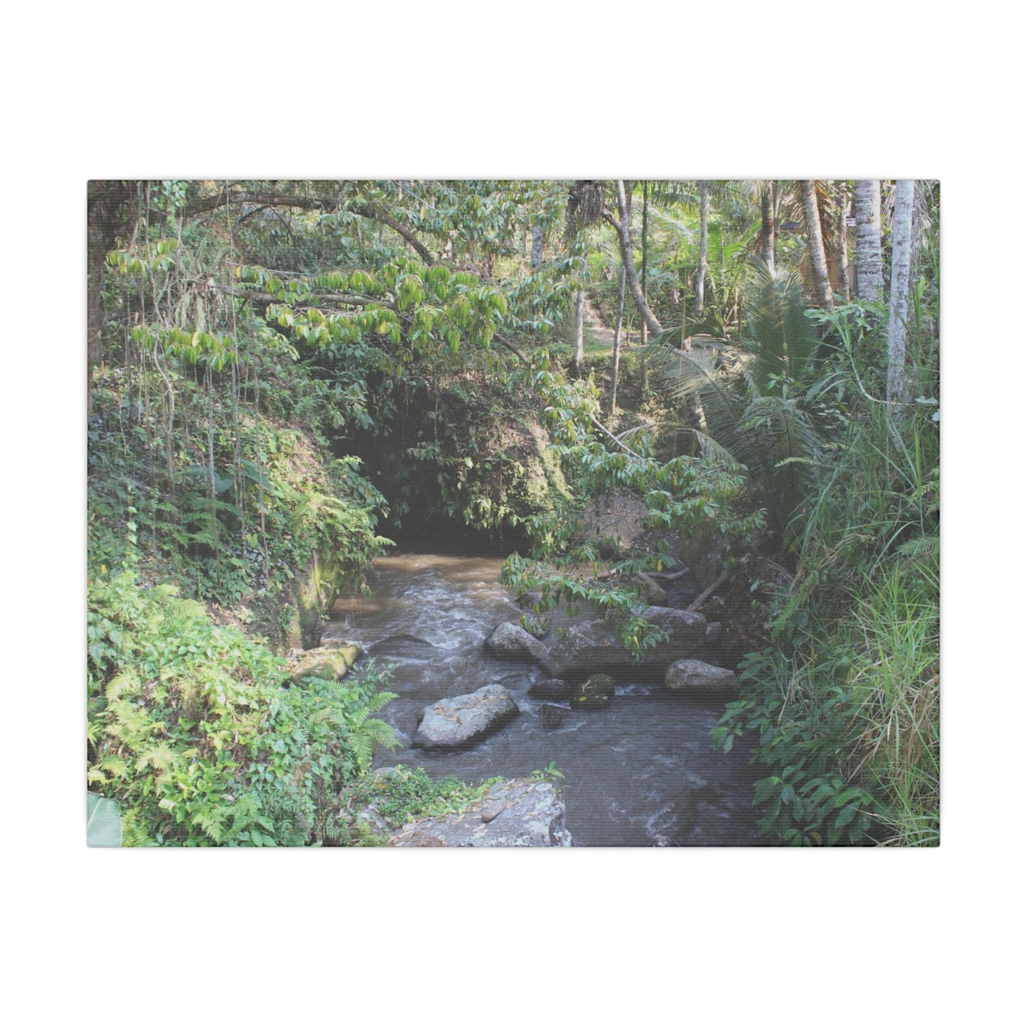 Rainforest Stream - Matte Canvas, Stretched, 0.75"